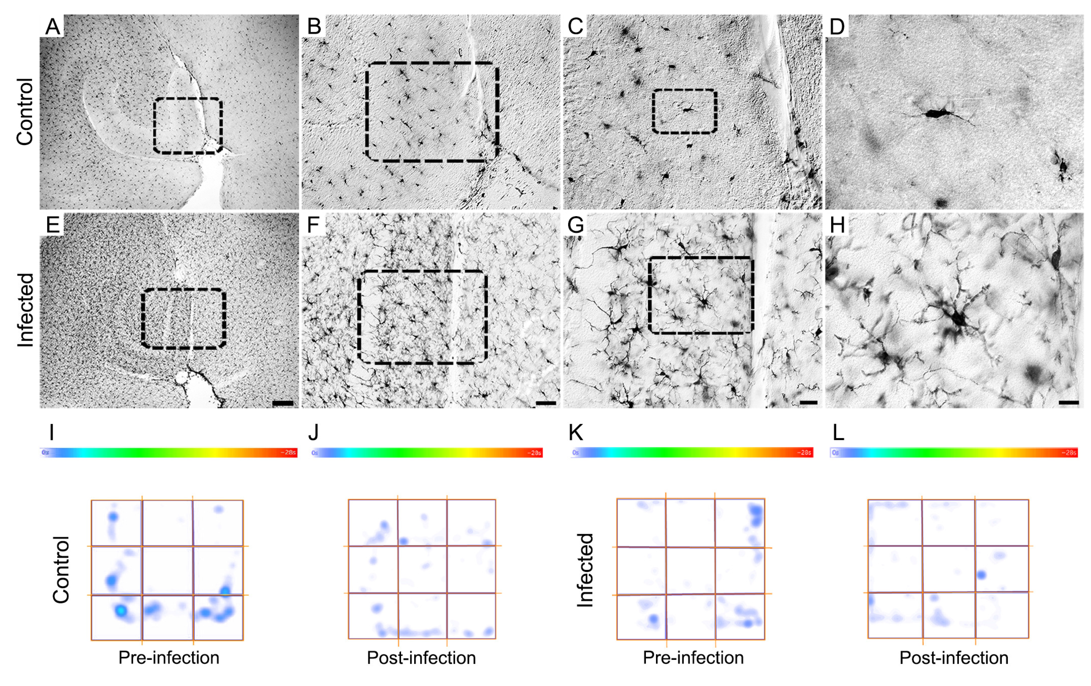 Preprints 104321 g009