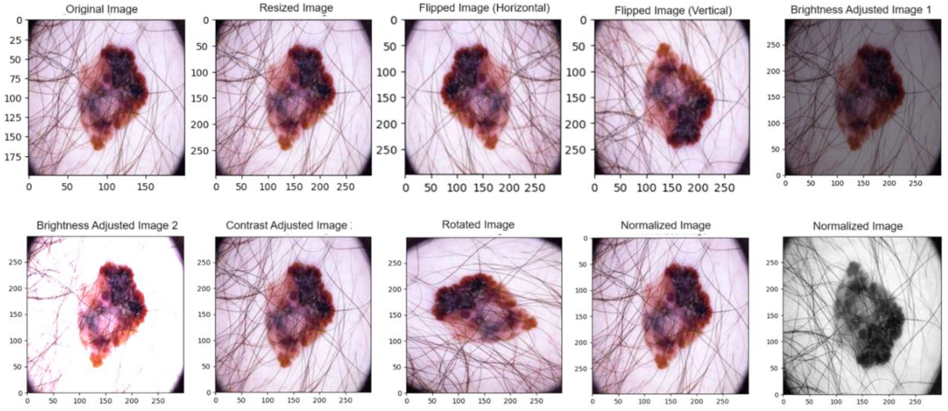 Preprints 97687 g006