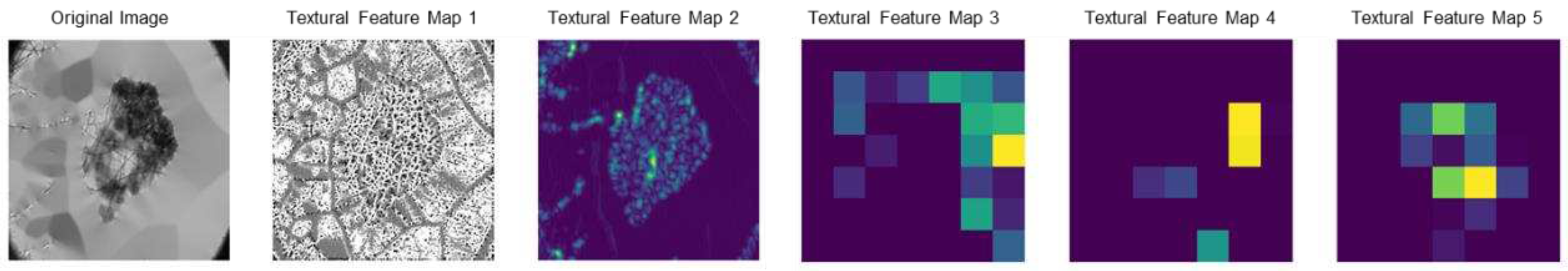 Preprints 97687 g014