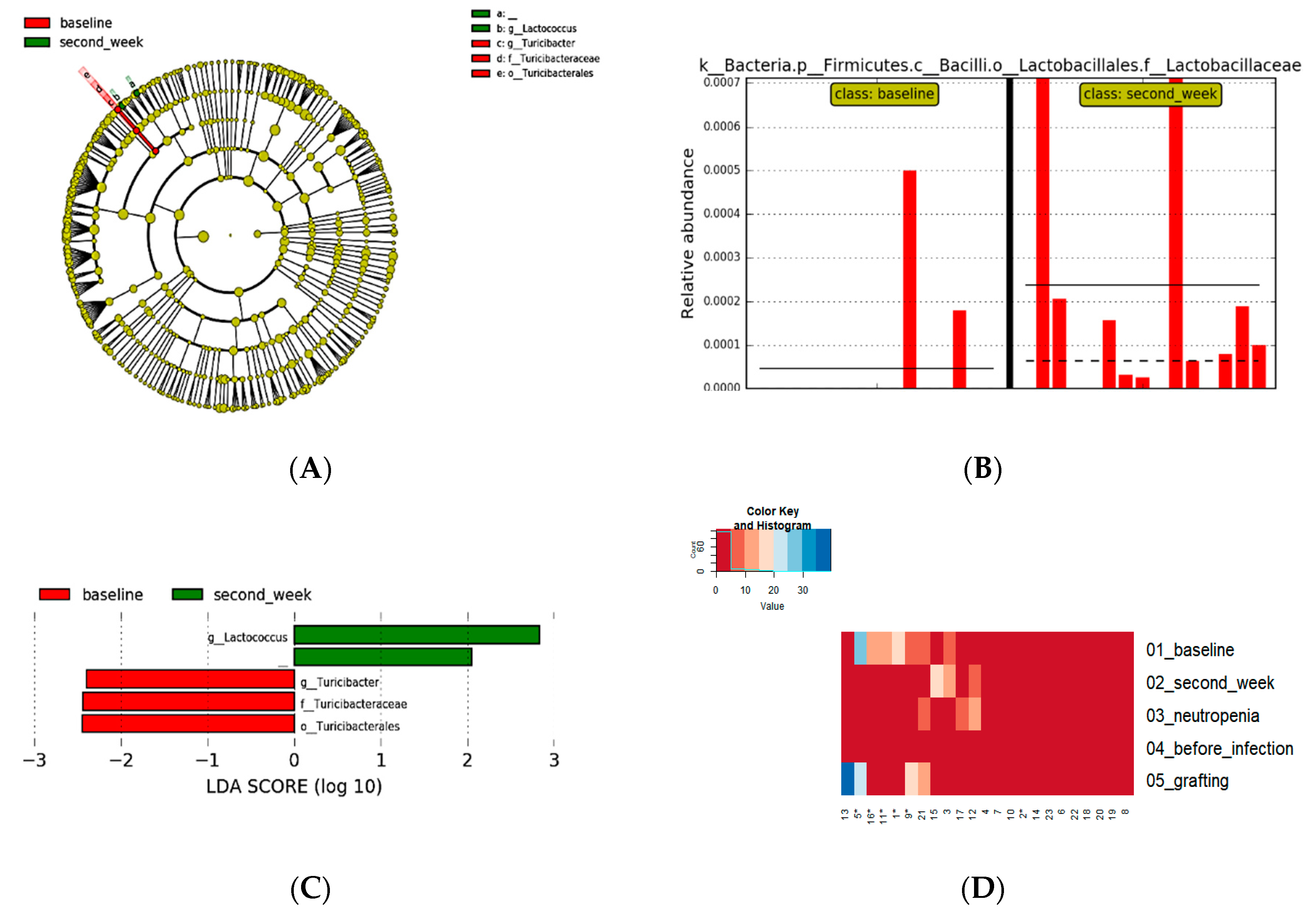 Preprints 91517 g004