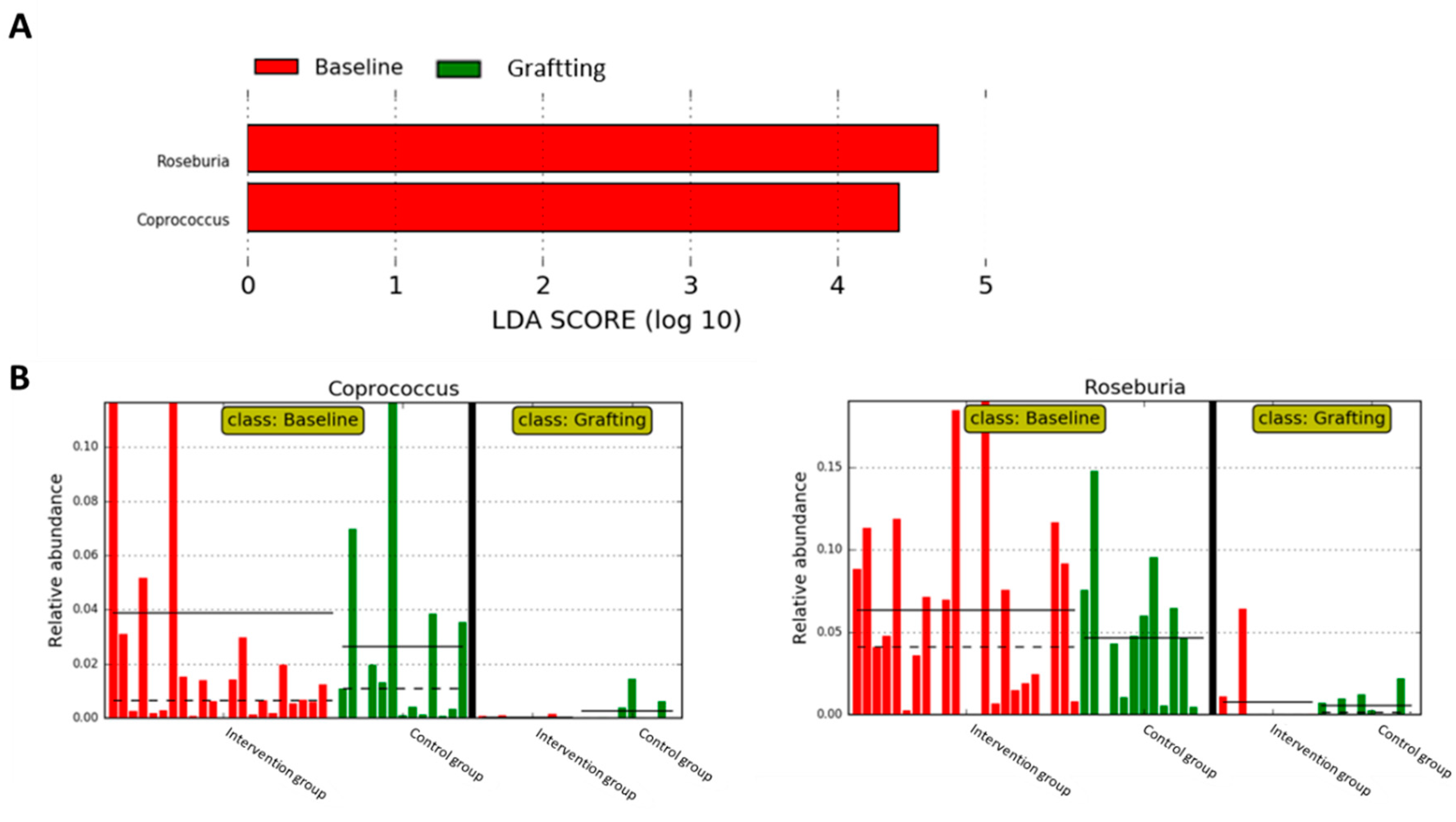 Preprints 91517 g005