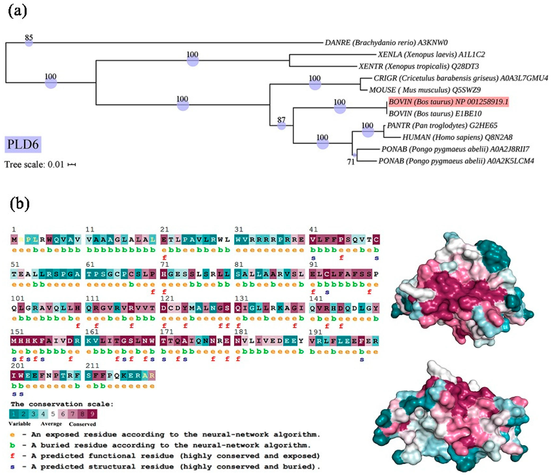 Preprints 78155 g002