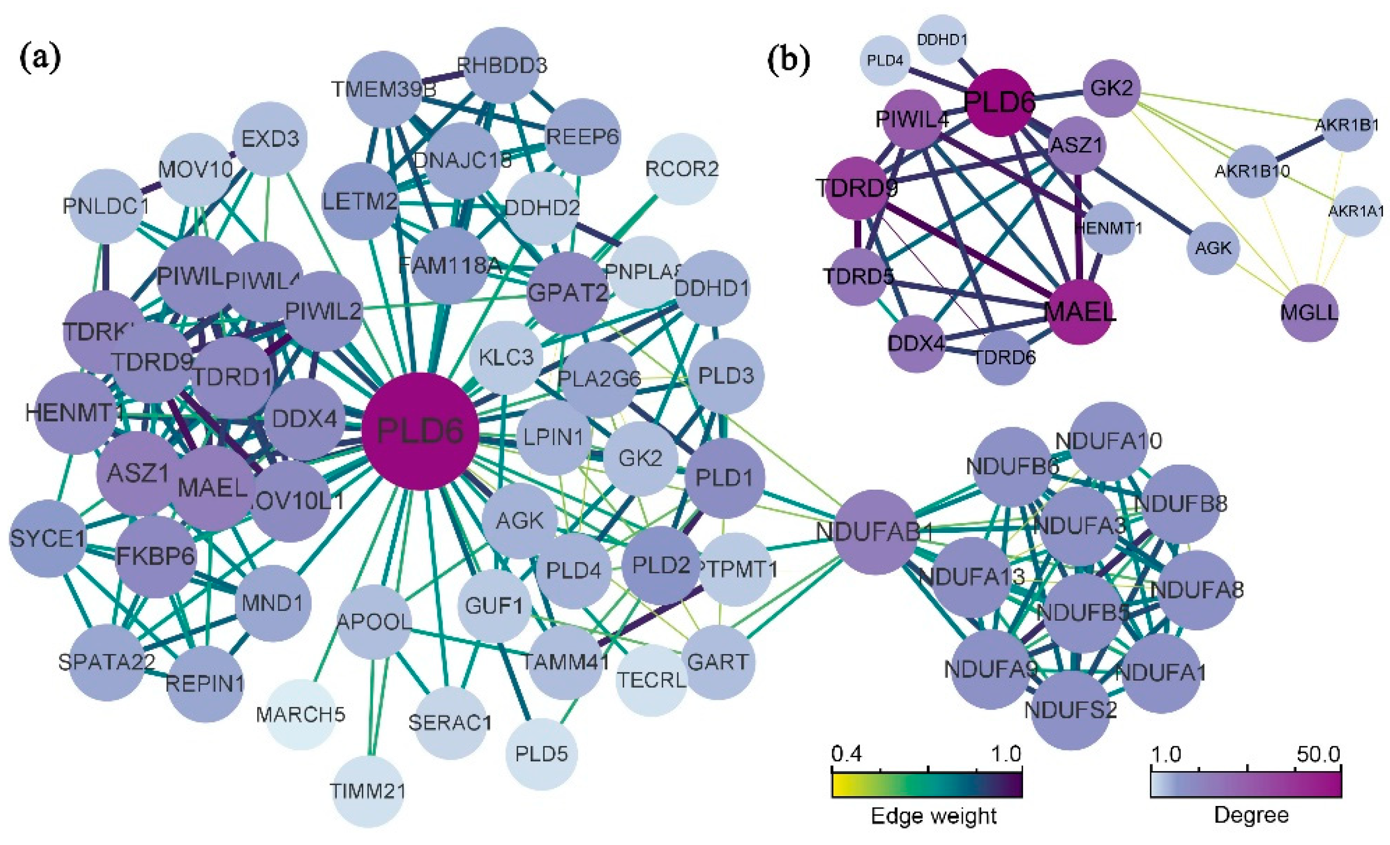 Preprints 78155 g004