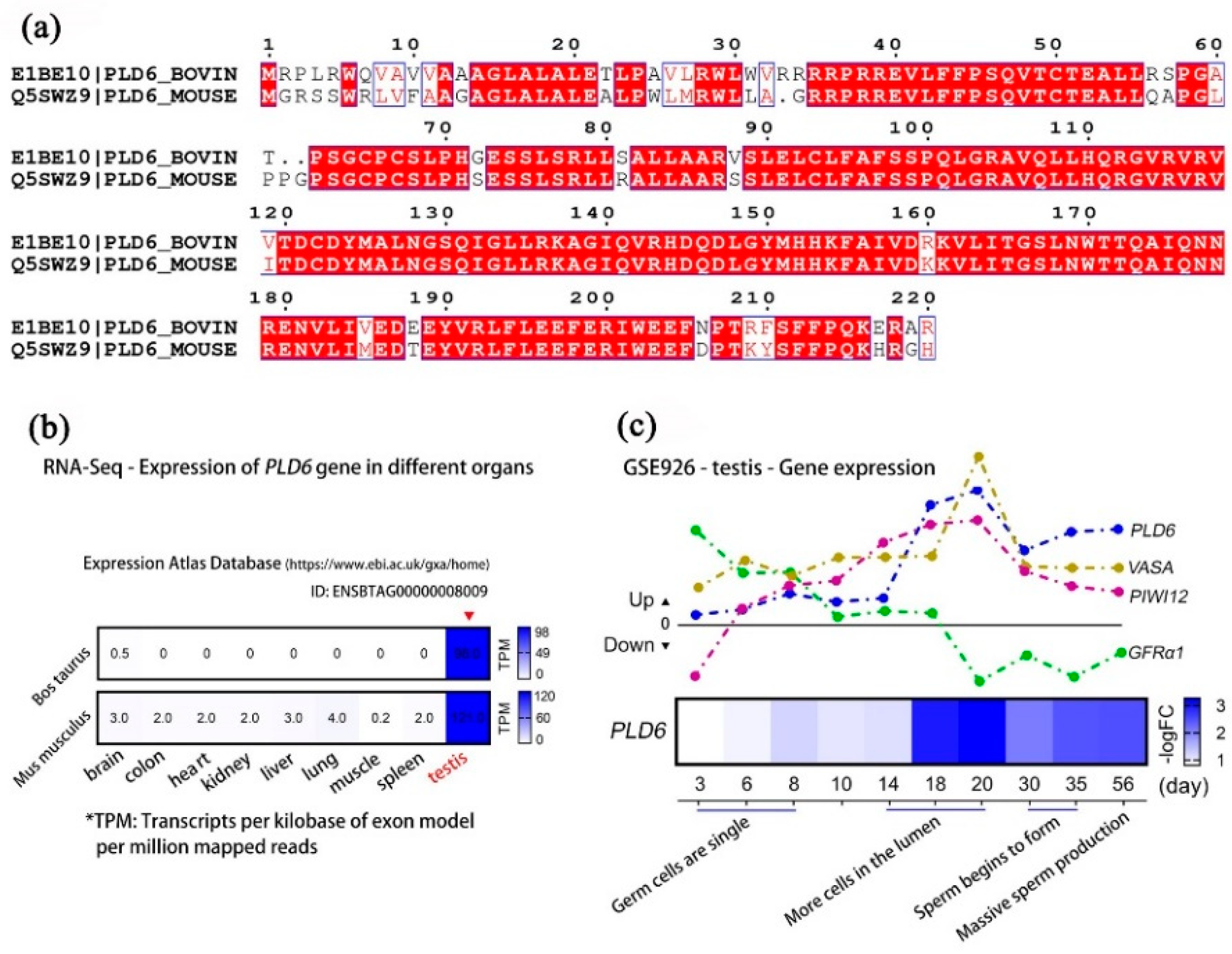 Preprints 78155 g006