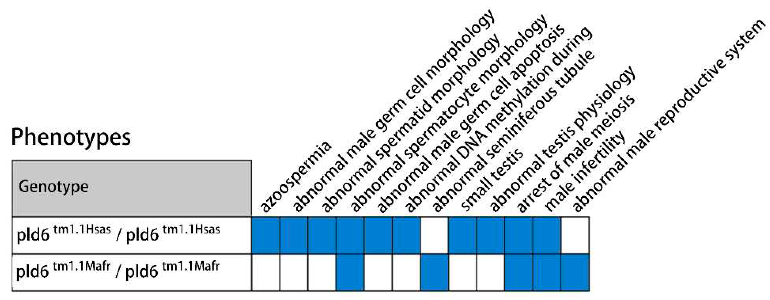 Preprints 78155 g007