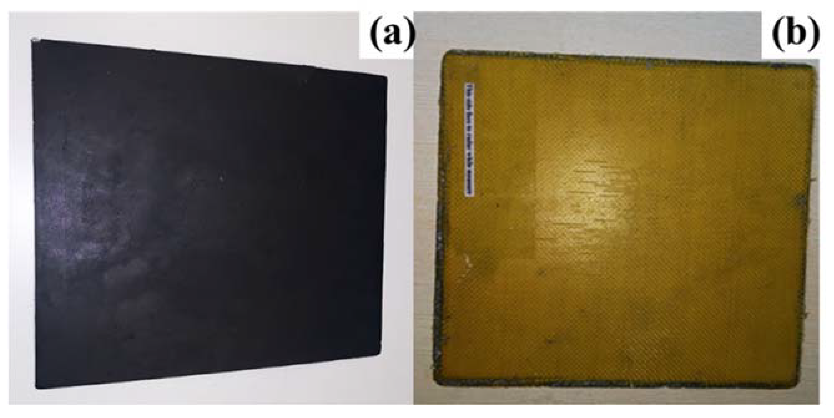 Preprints 85859 g001