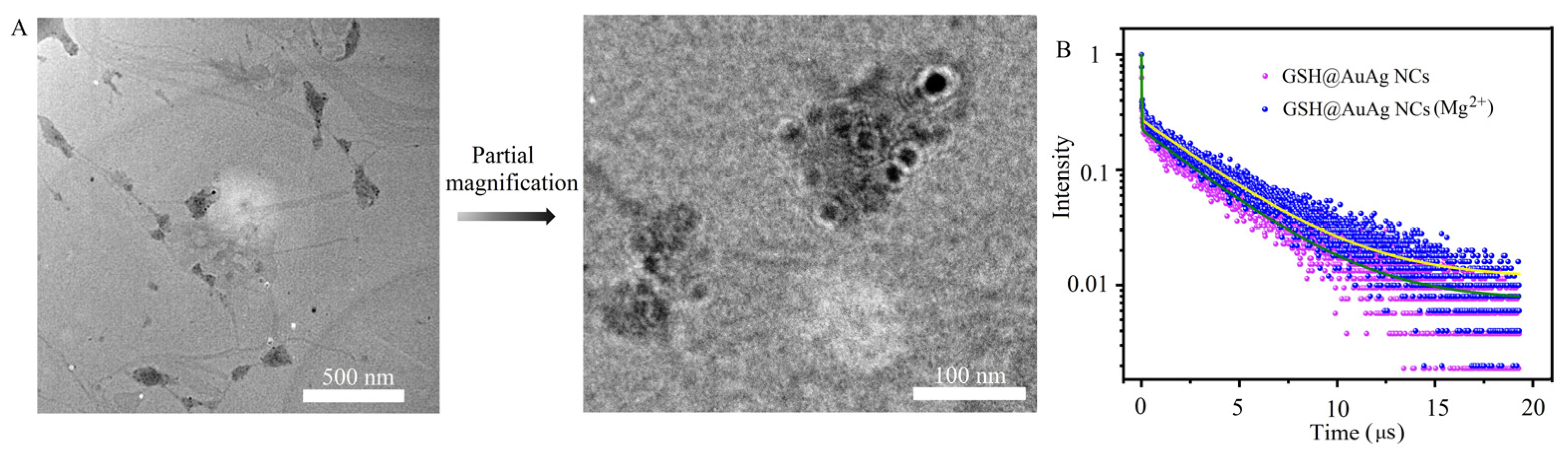 Preprints 79473 g005