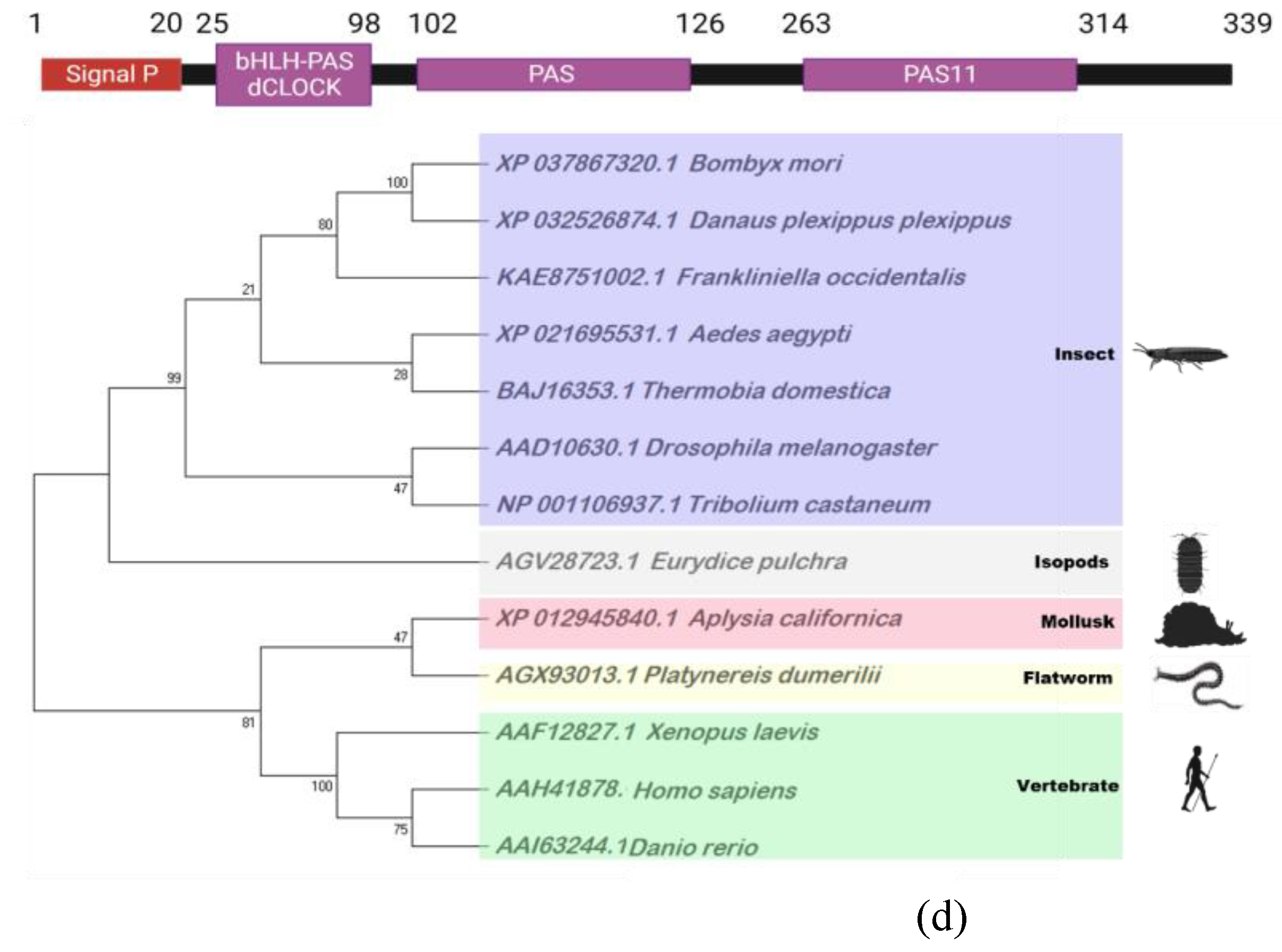 Preprints 75709 g004b