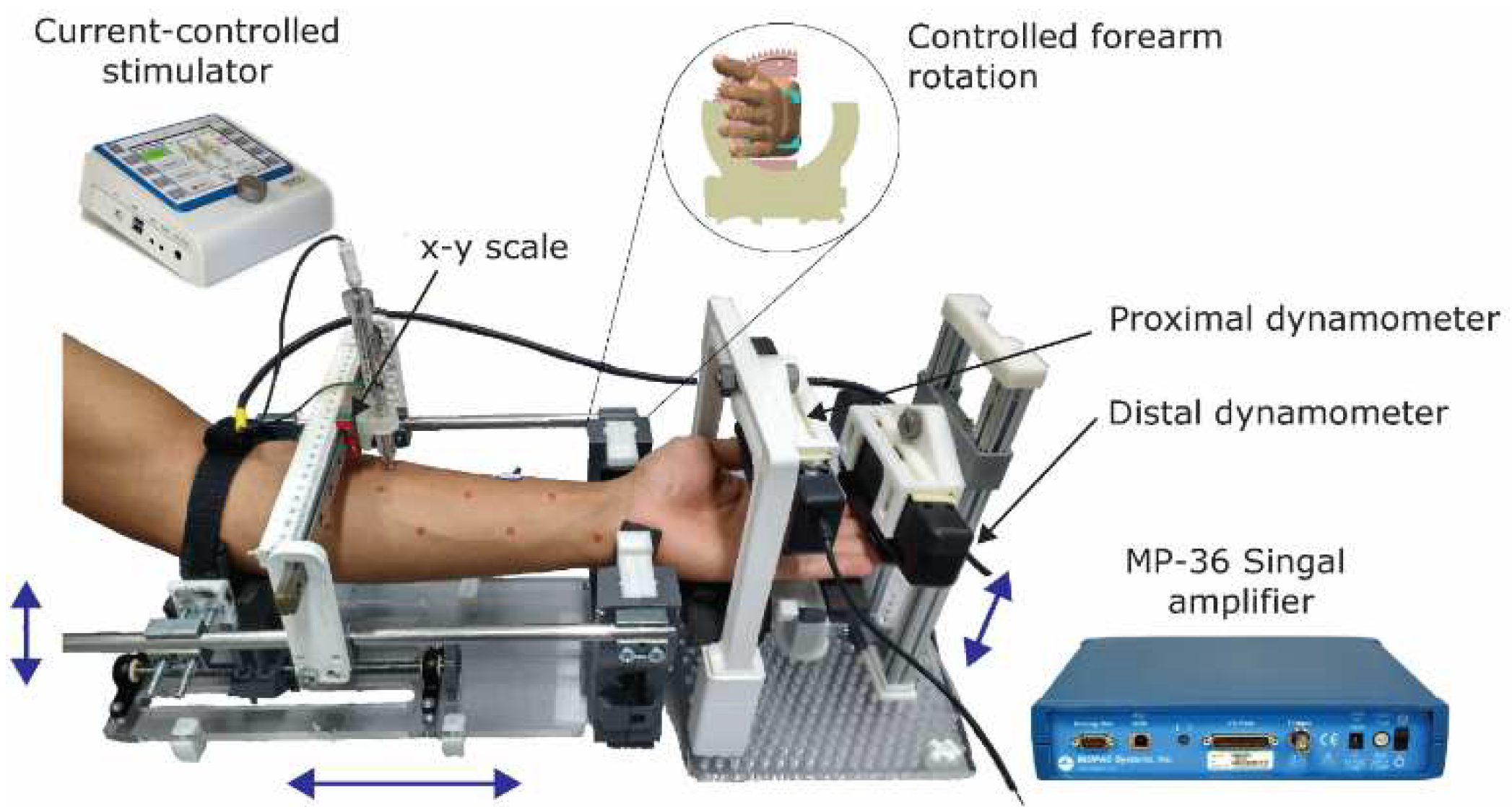 Preprints 96588 g001