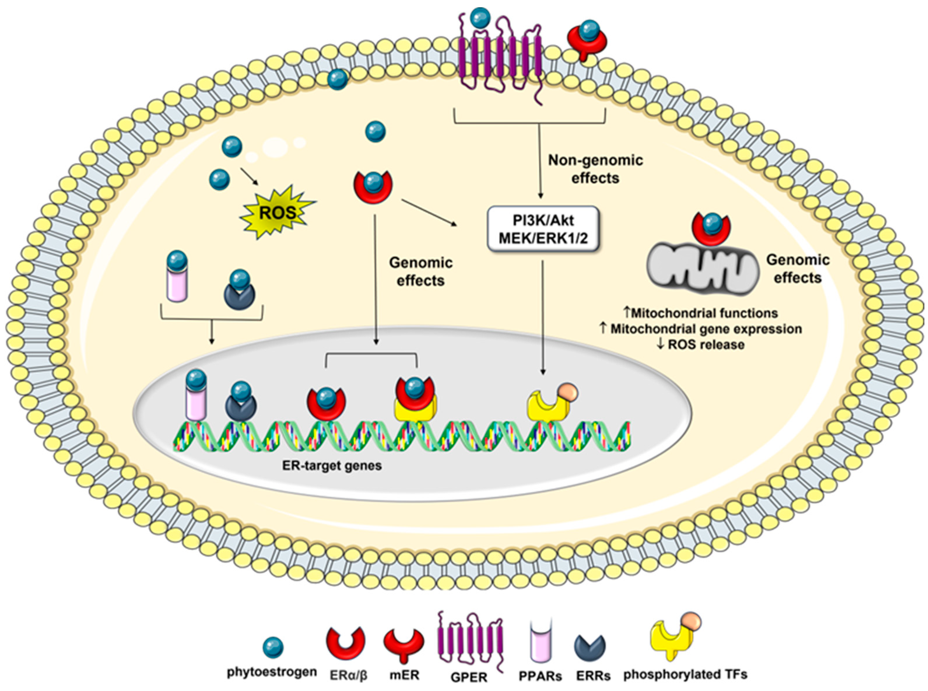 Preprints 81476 g002