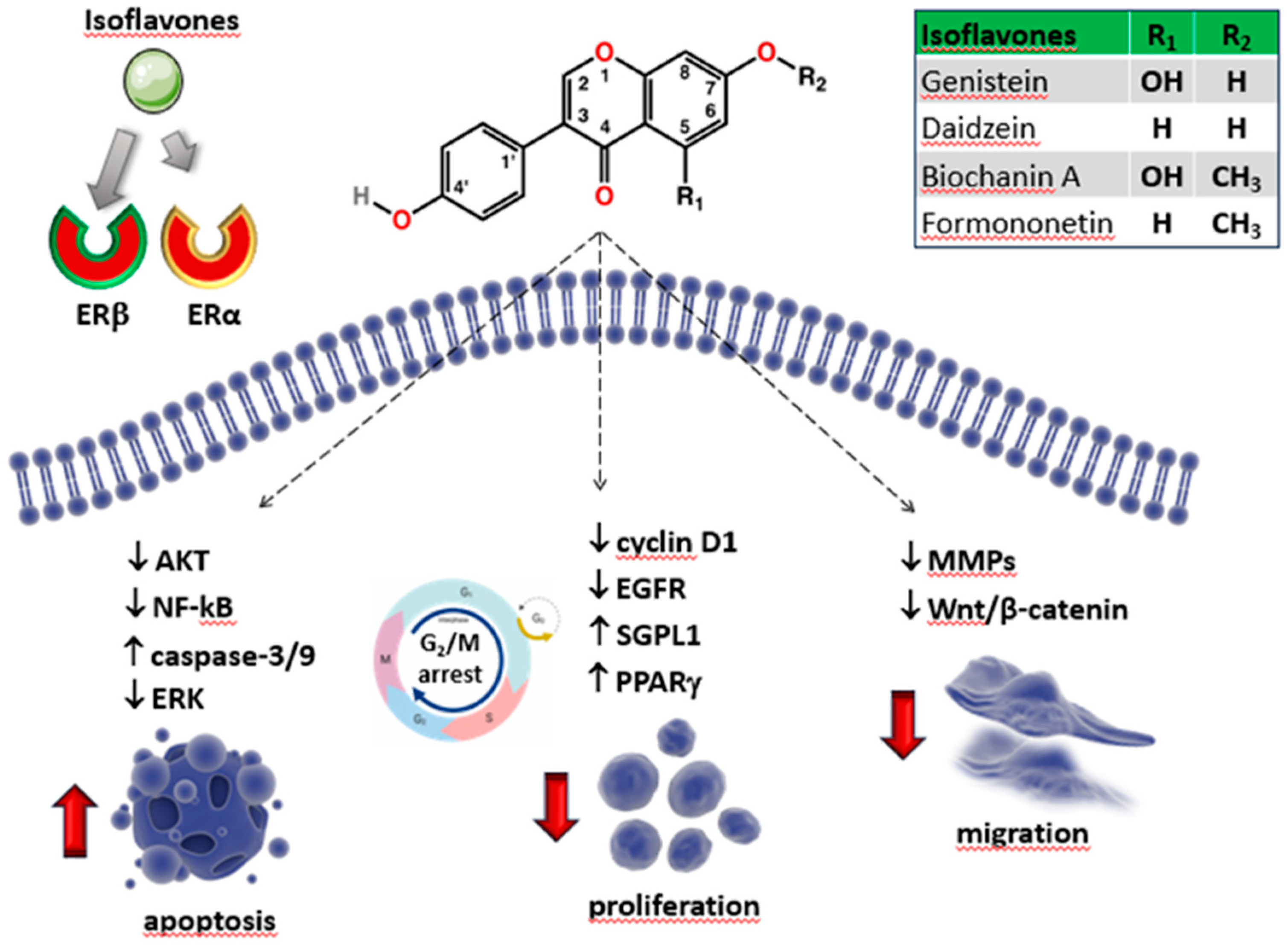 Preprints 81476 g003