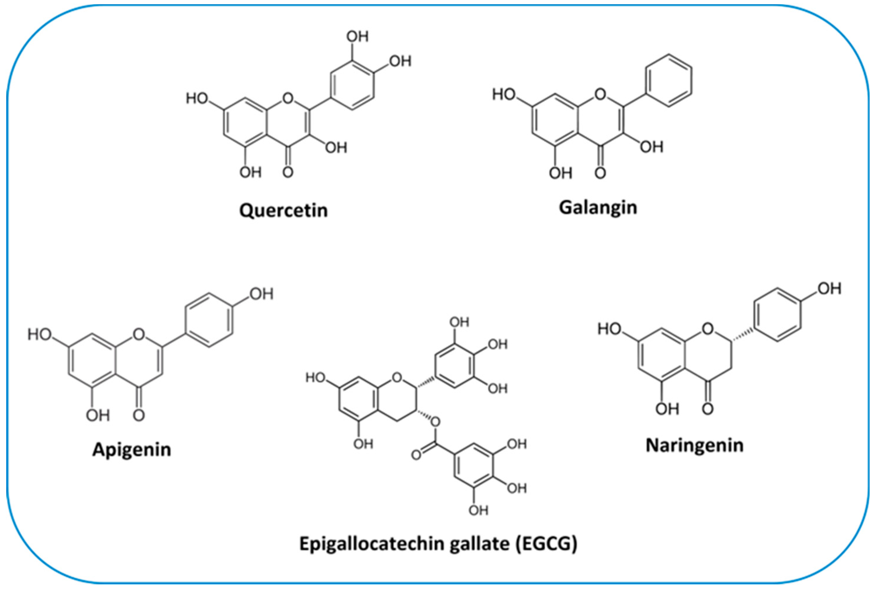 Preprints 81476 g004