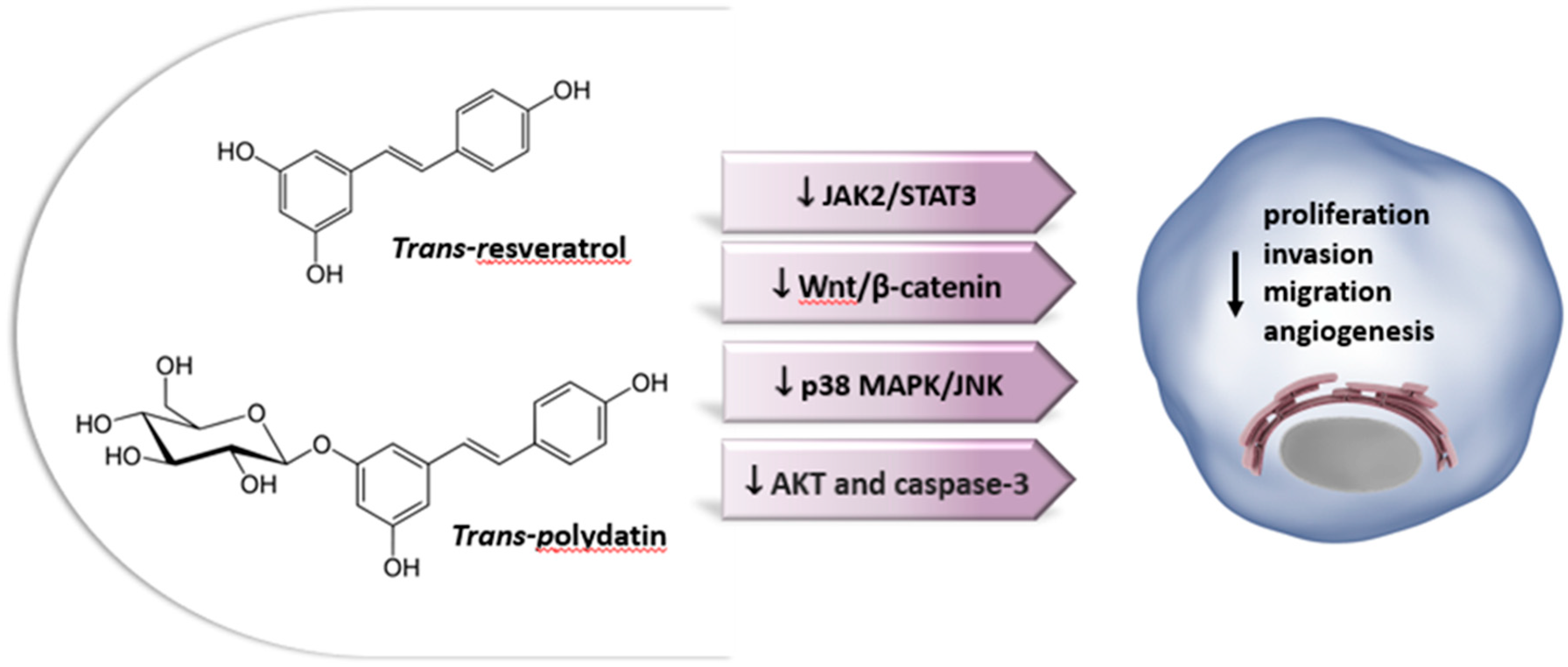 Preprints 81476 g005