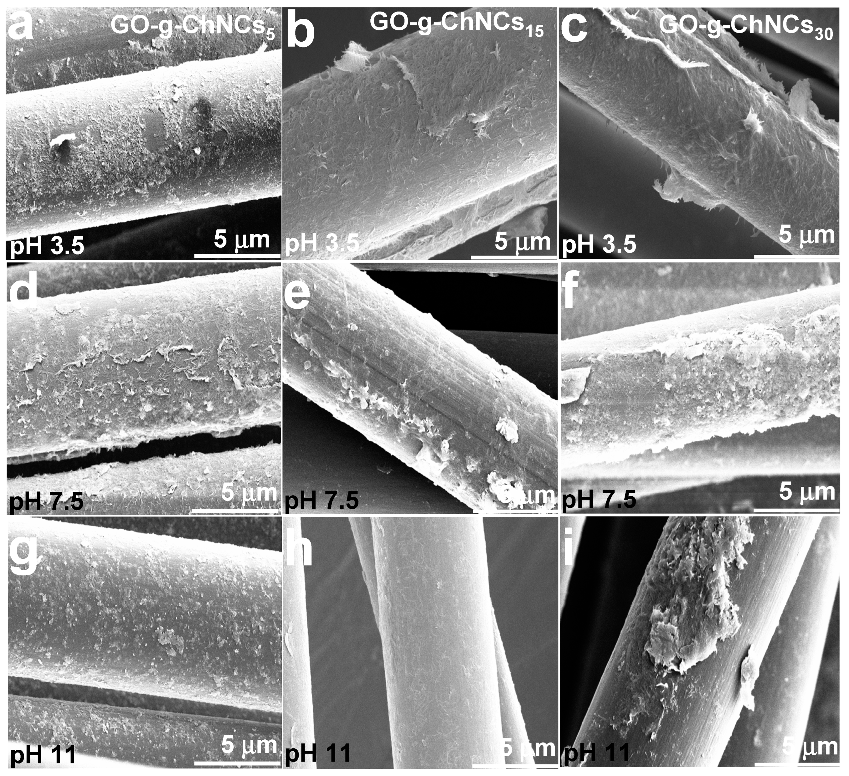 Preprints 97929 g005