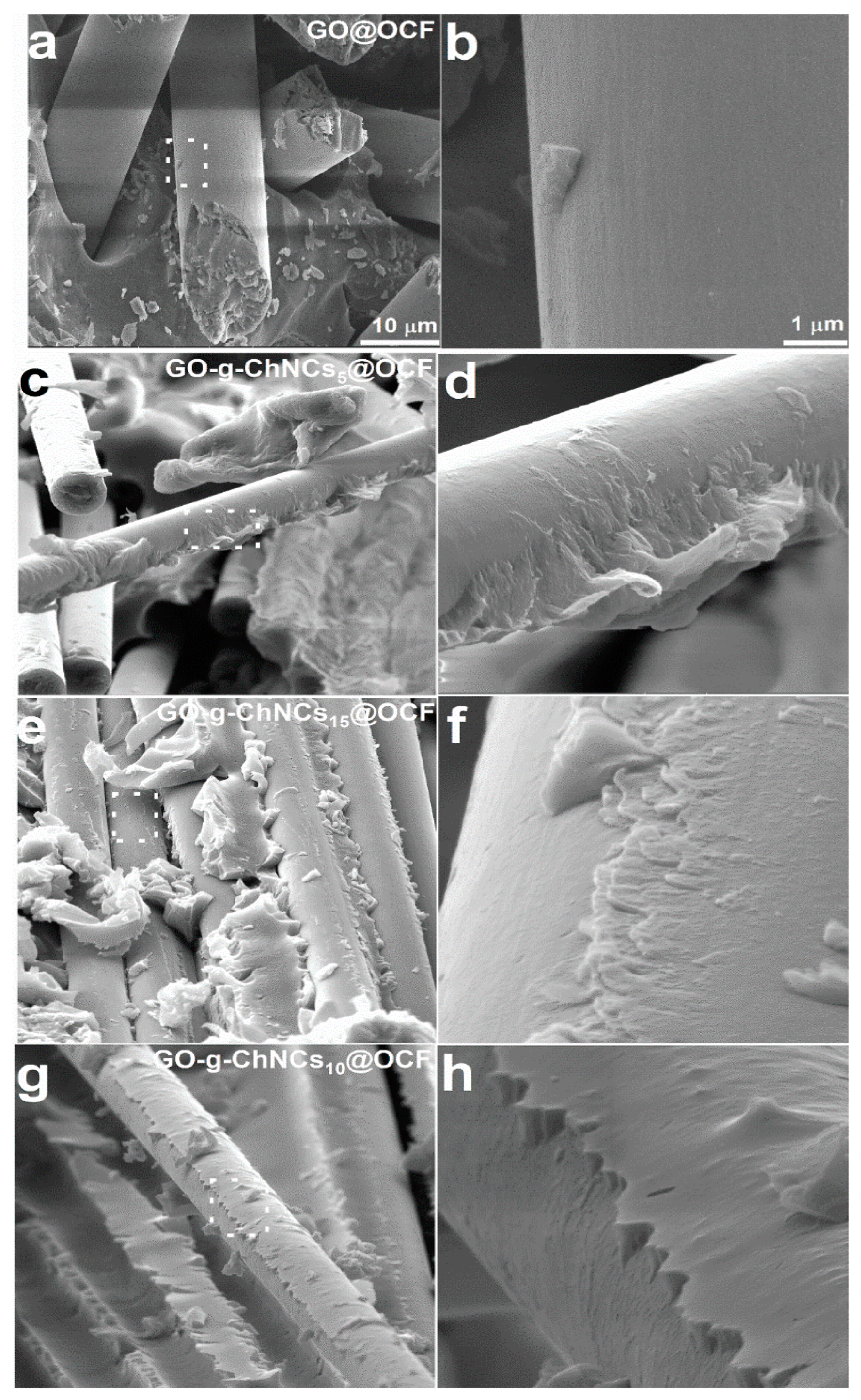 Preprints 97929 g008