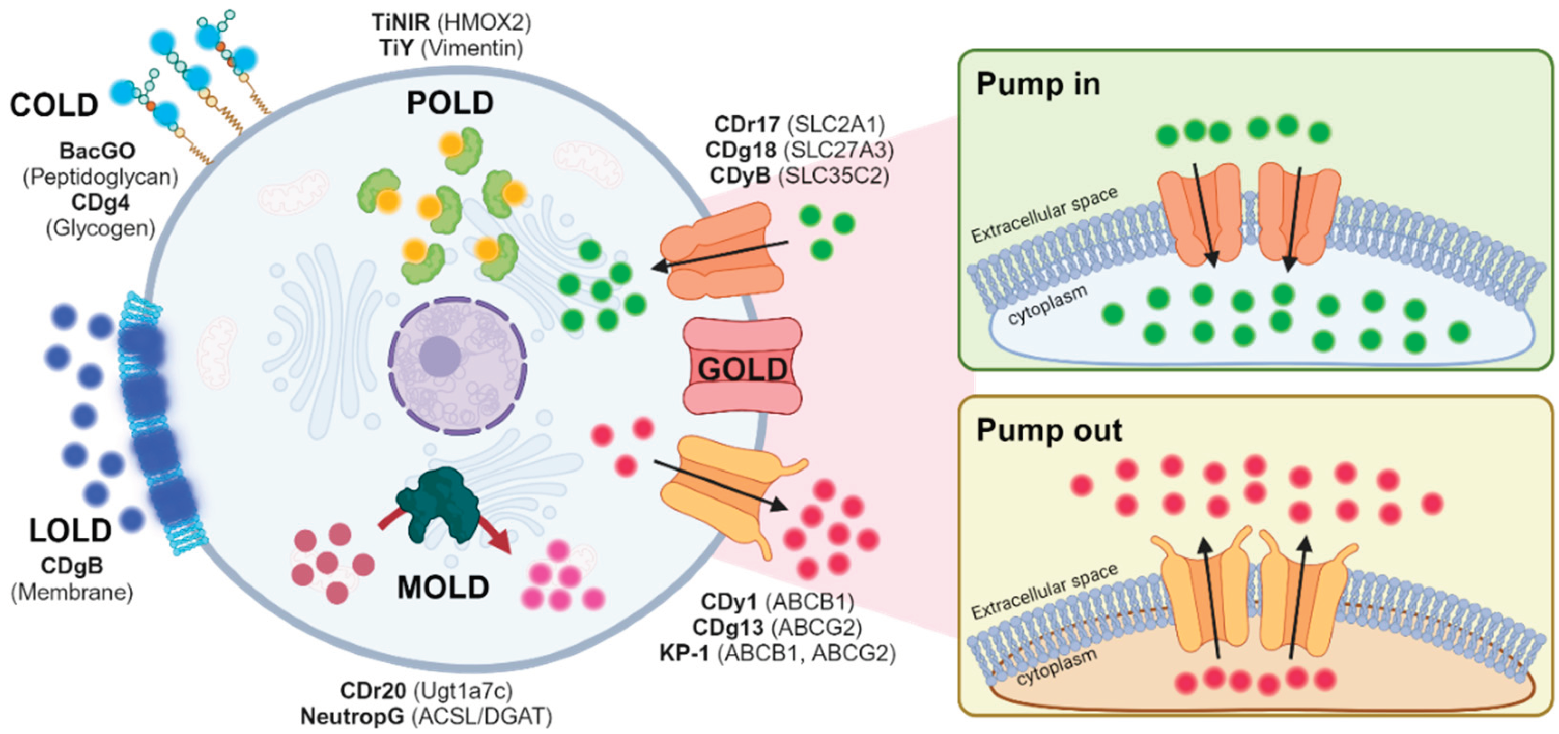 Preprints 100055 g001