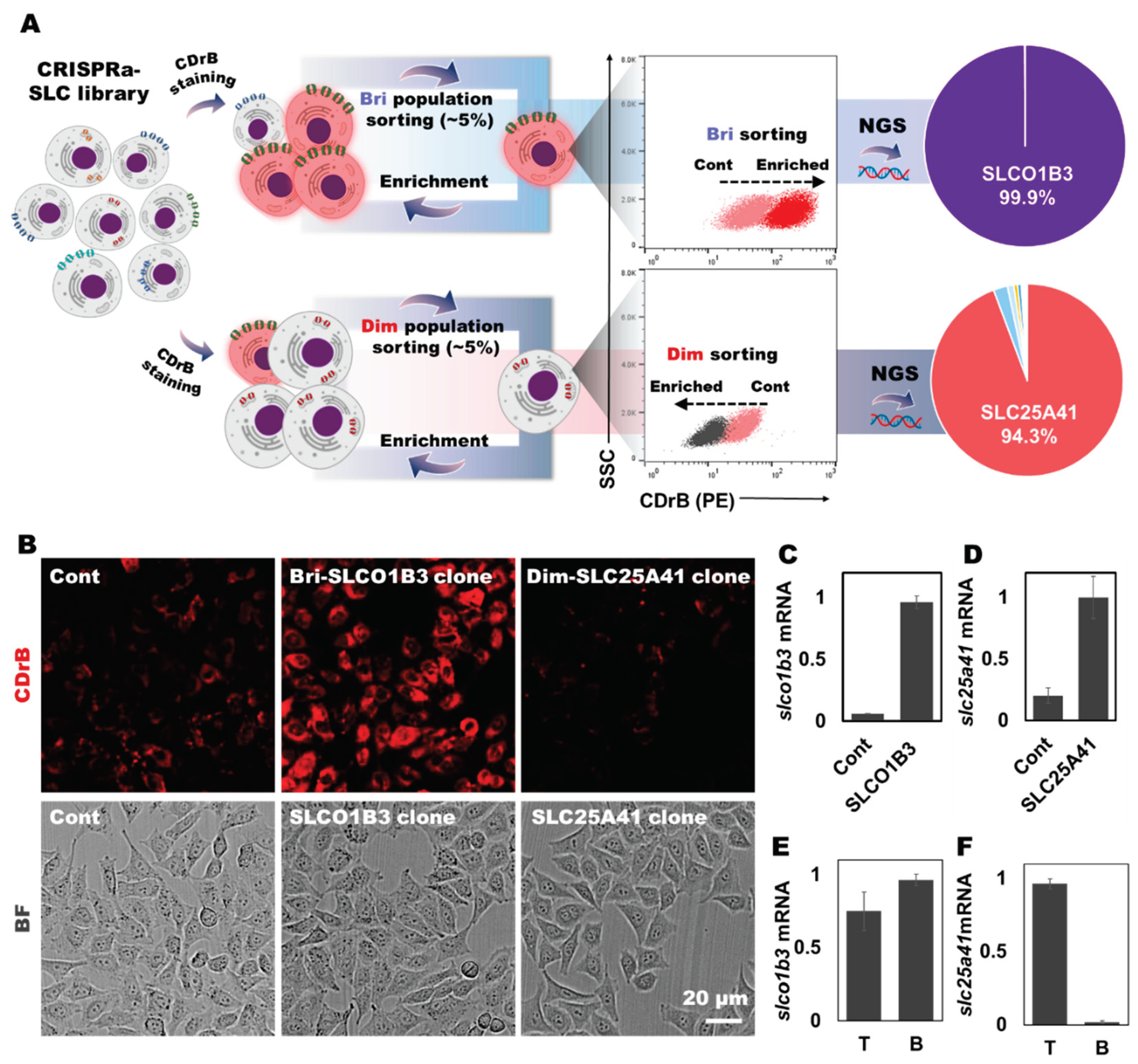 Preprints 100055 g003