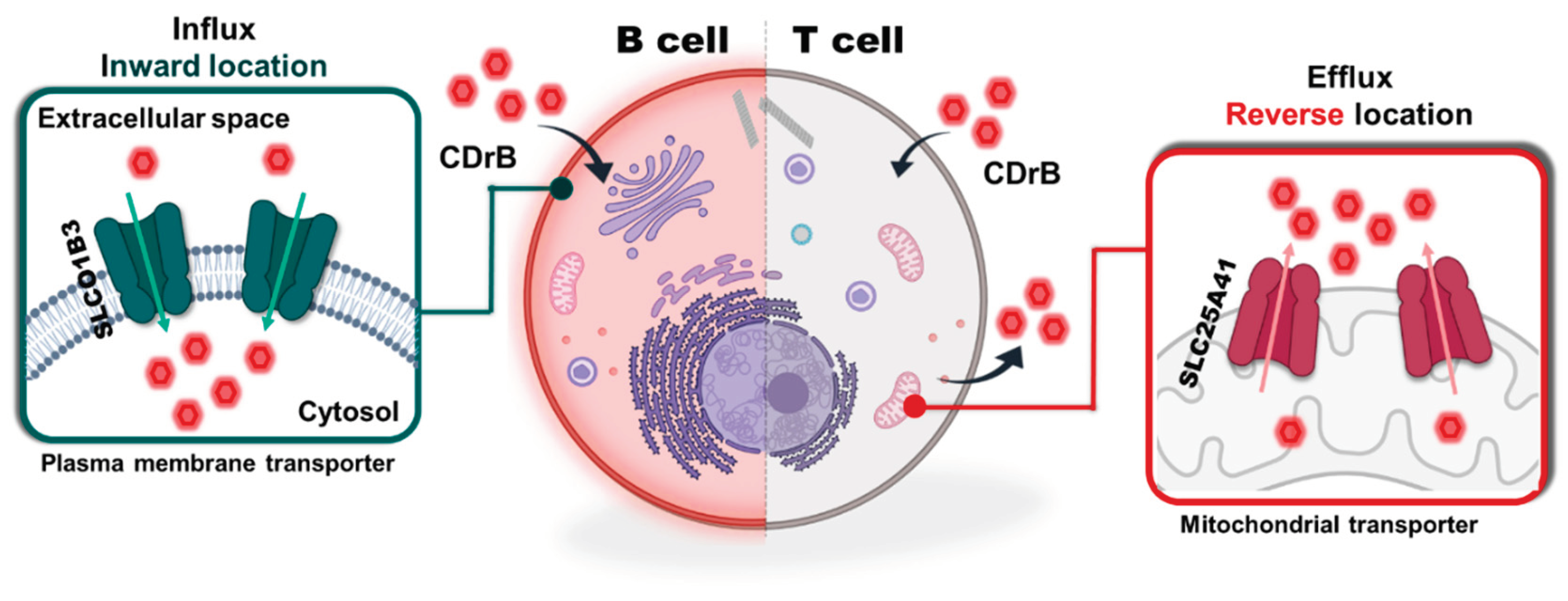 Preprints 100055 g004