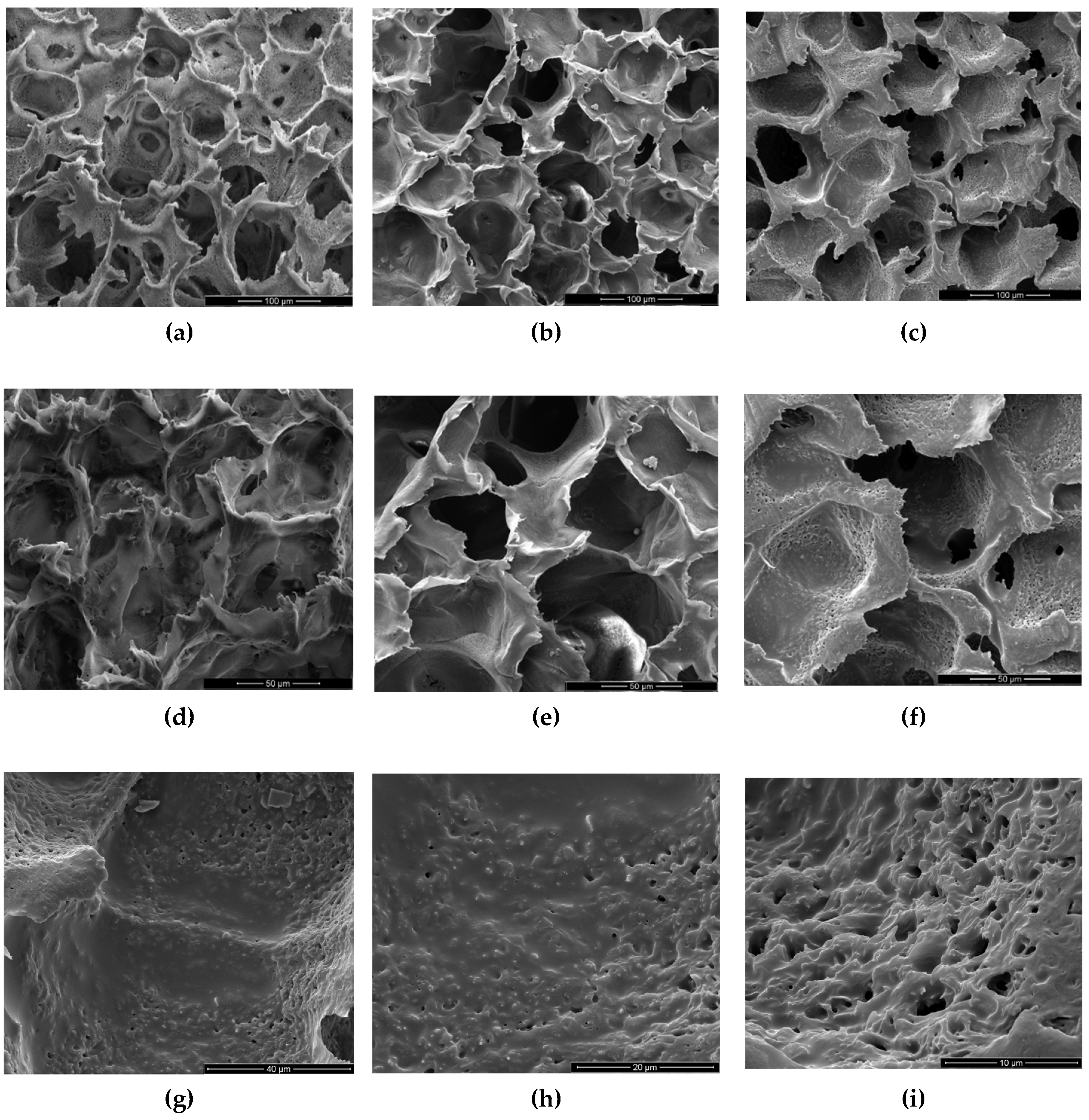 Preprints 104827 g003