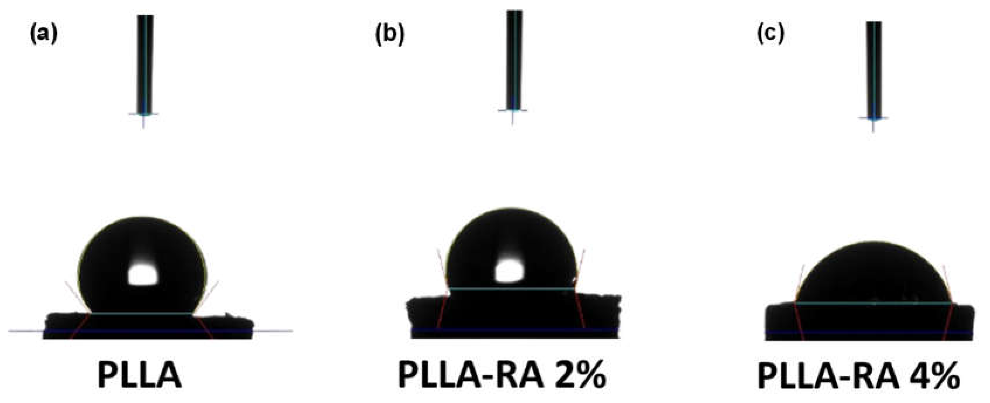 Preprints 104827 g006