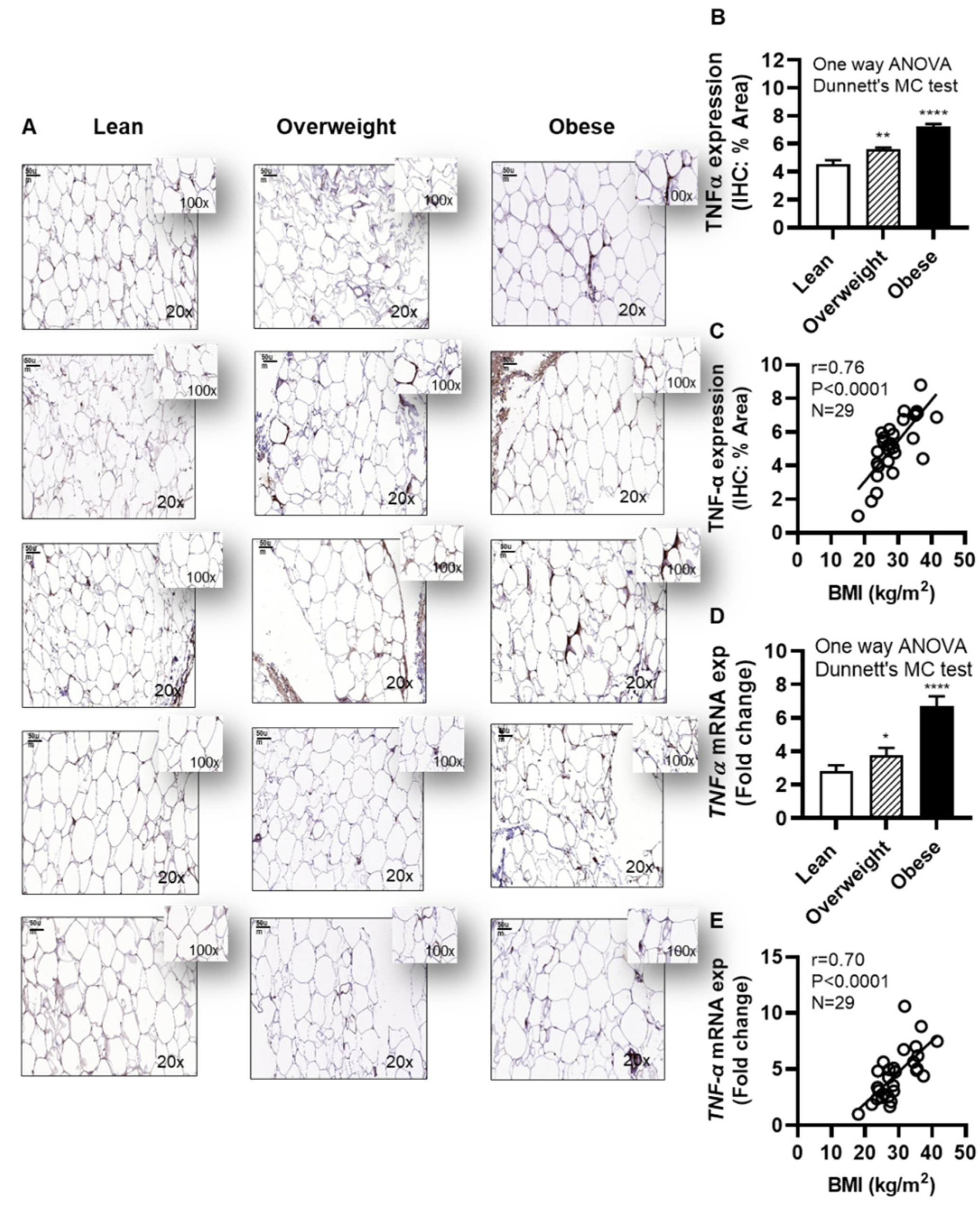 Preprints 79951 g008