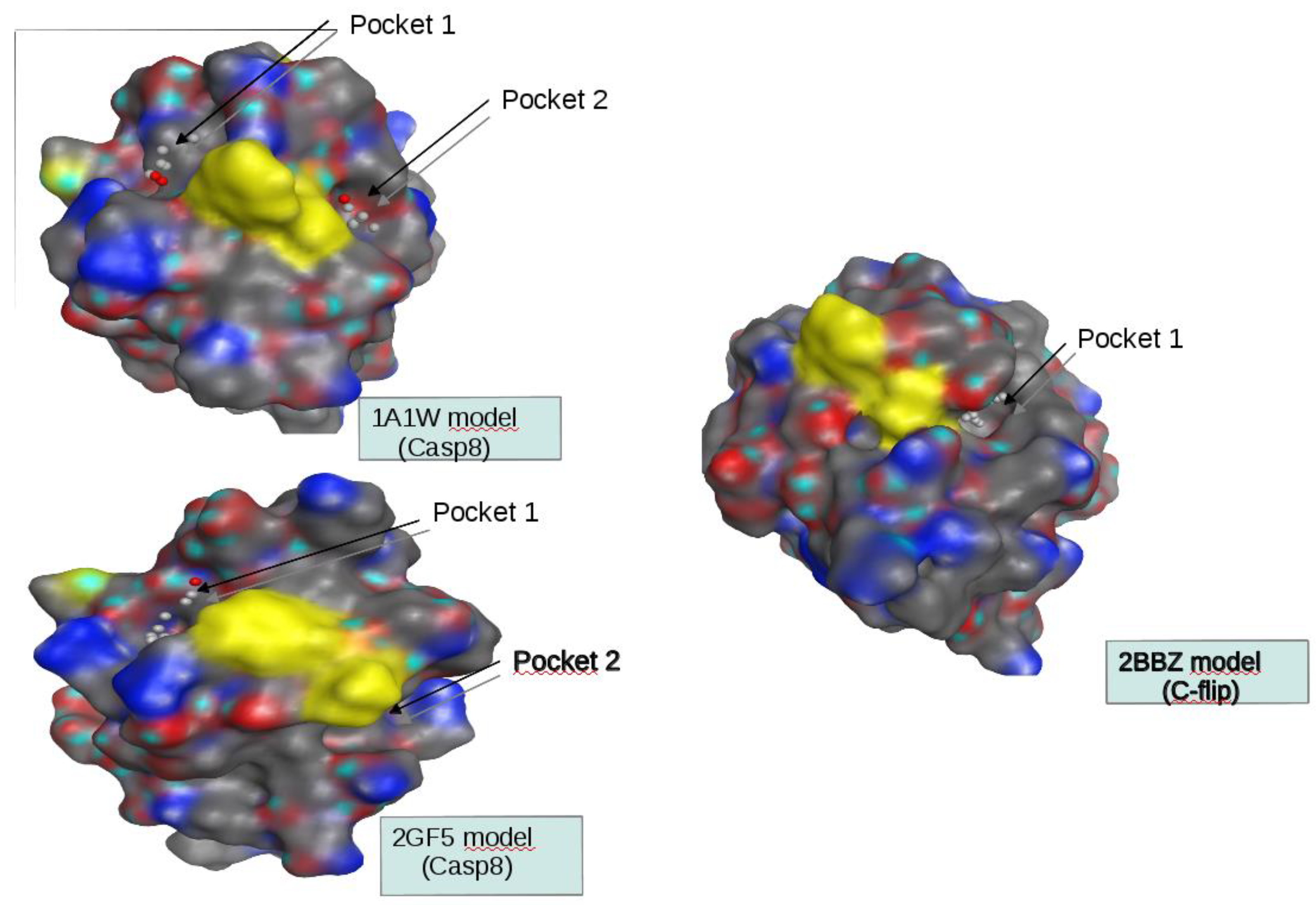 Preprints 92607 g002