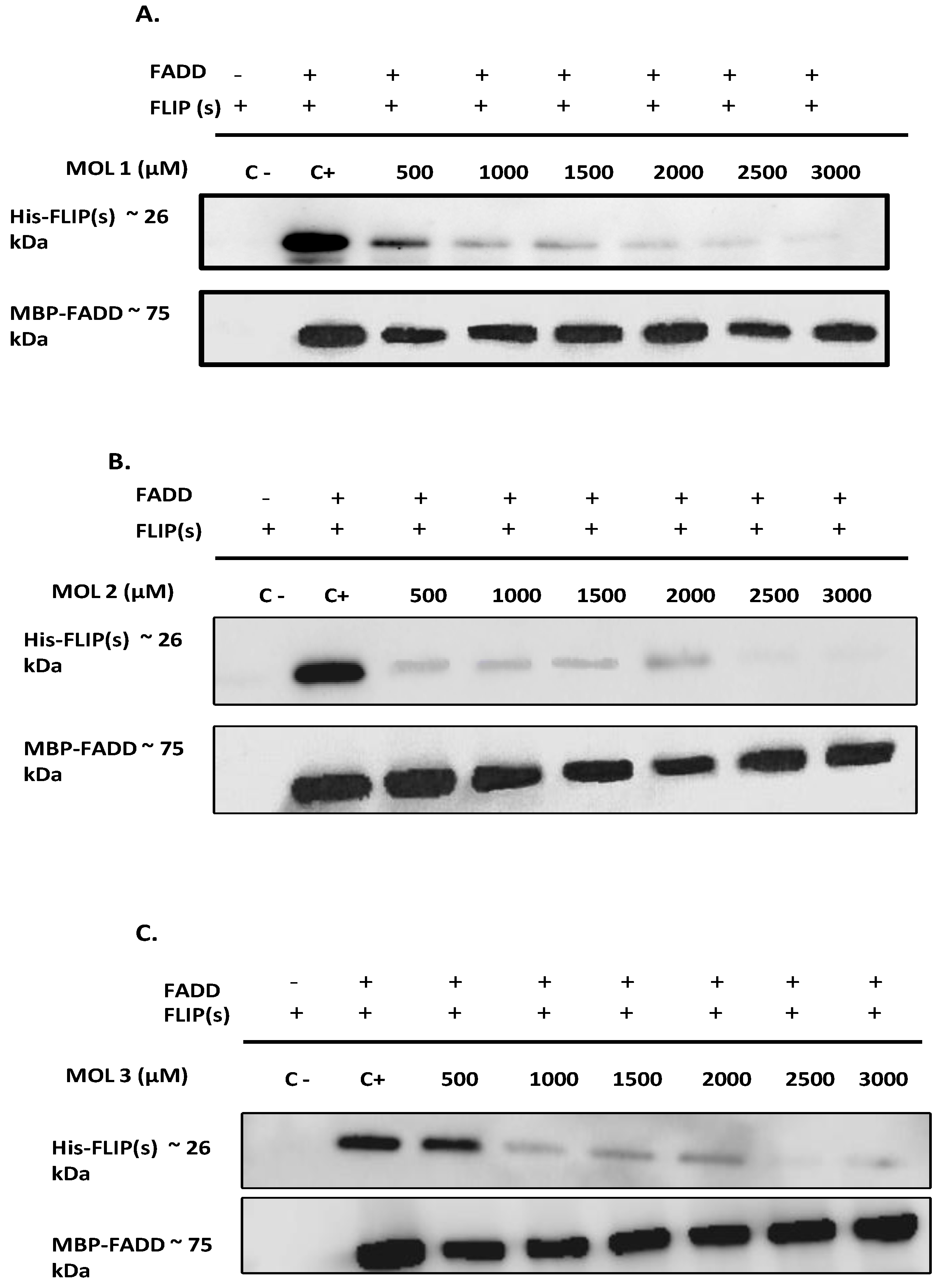 Preprints 92607 g003a