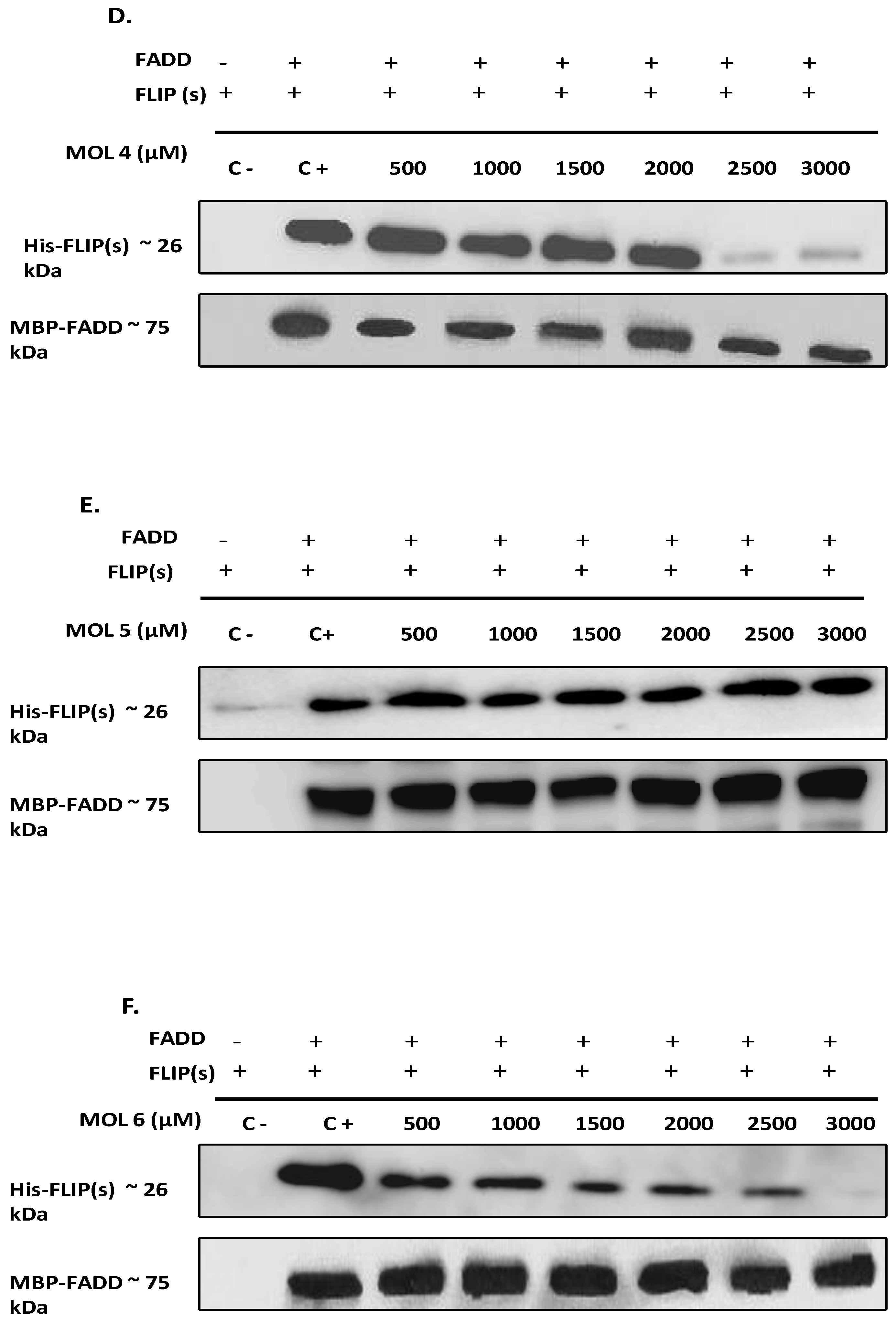 Preprints 92607 g003b