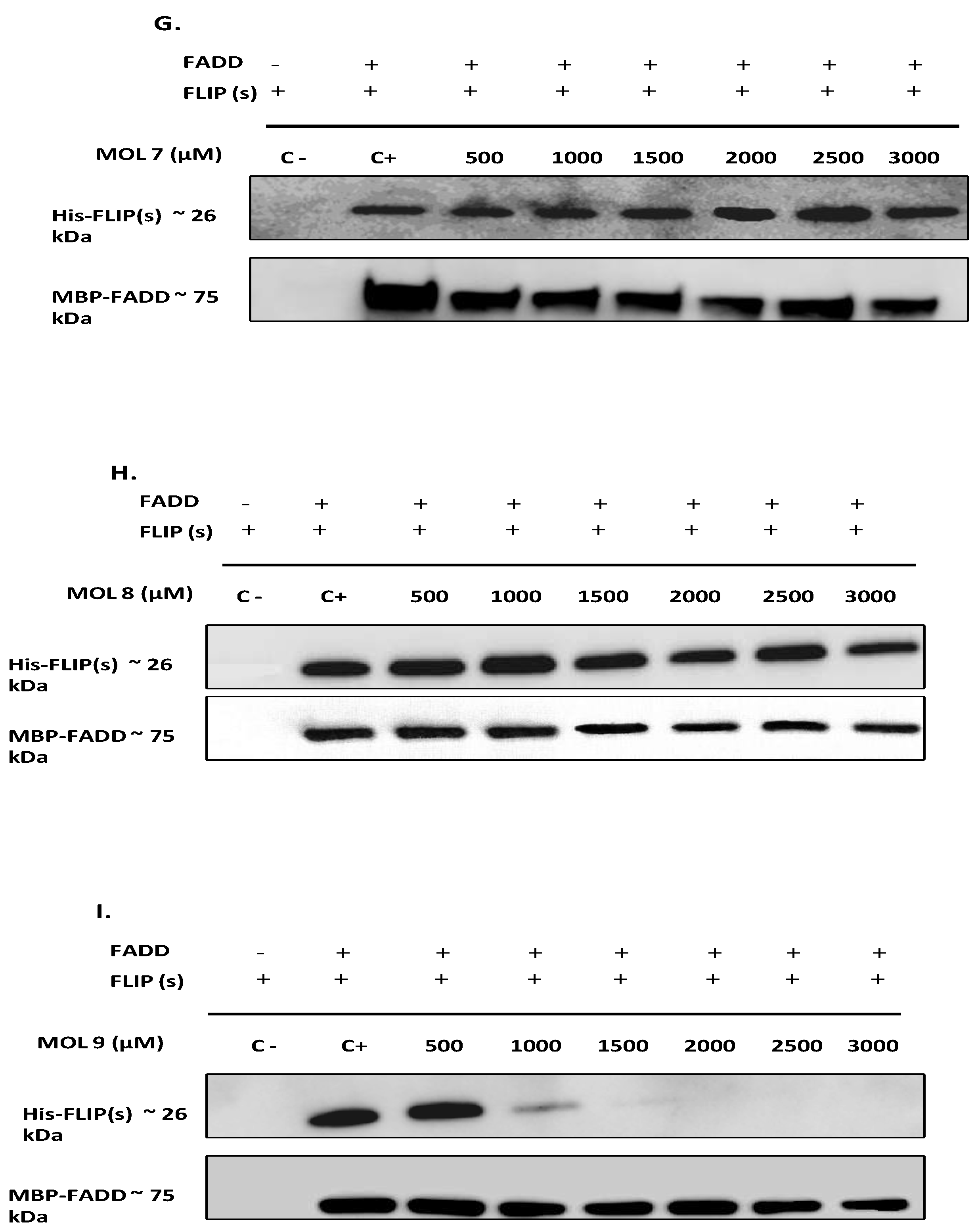 Preprints 92607 g003c