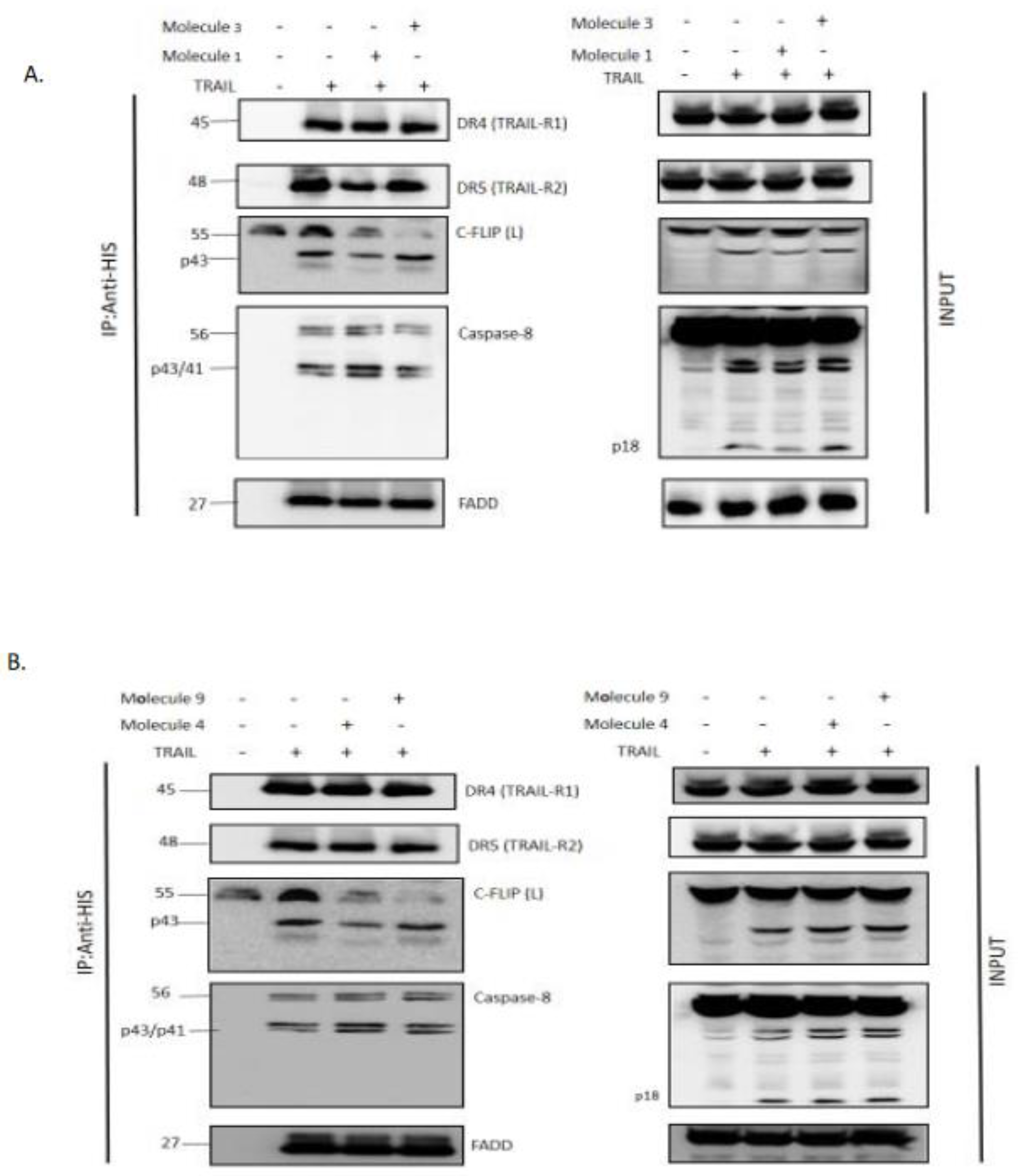 Preprints 92607 g004