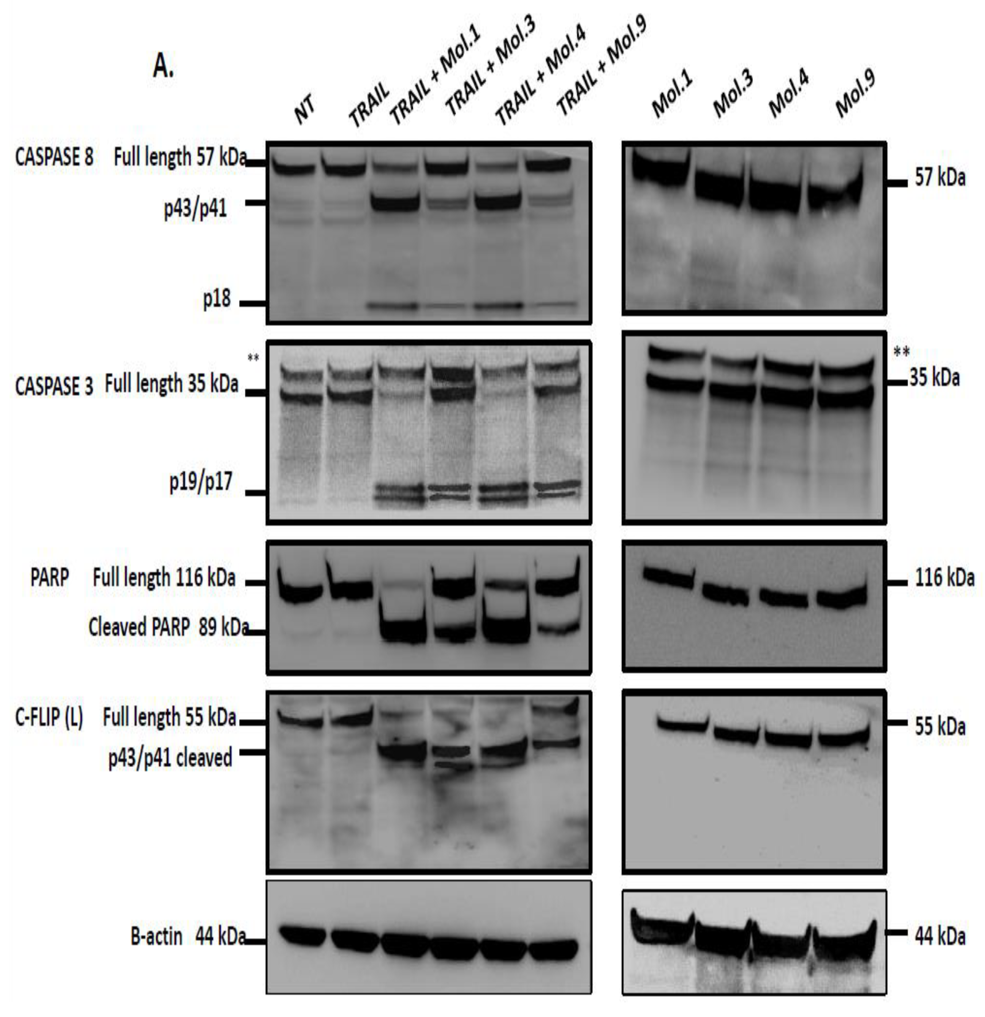 Preprints 92607 g006a