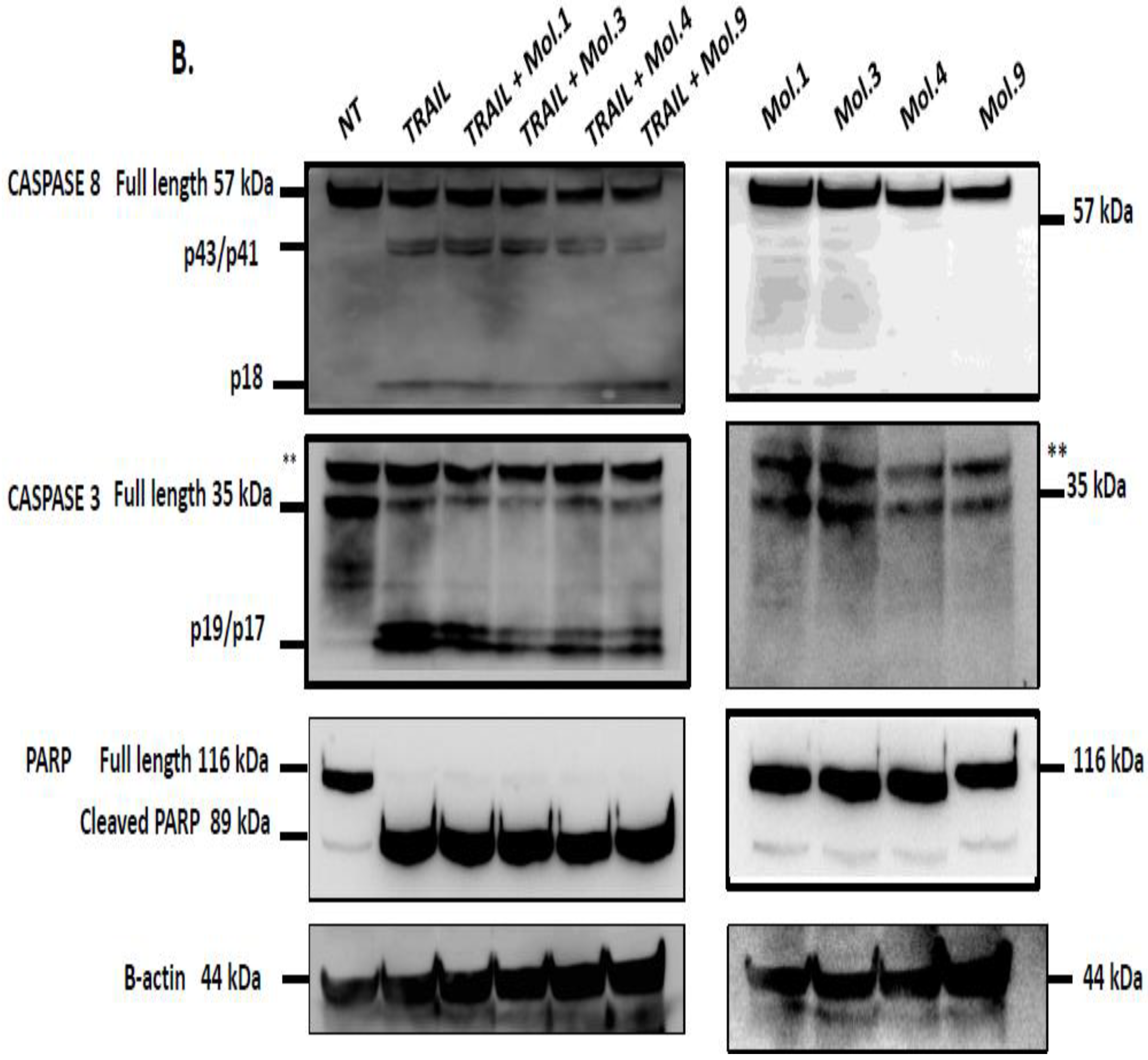 Preprints 92607 g006b