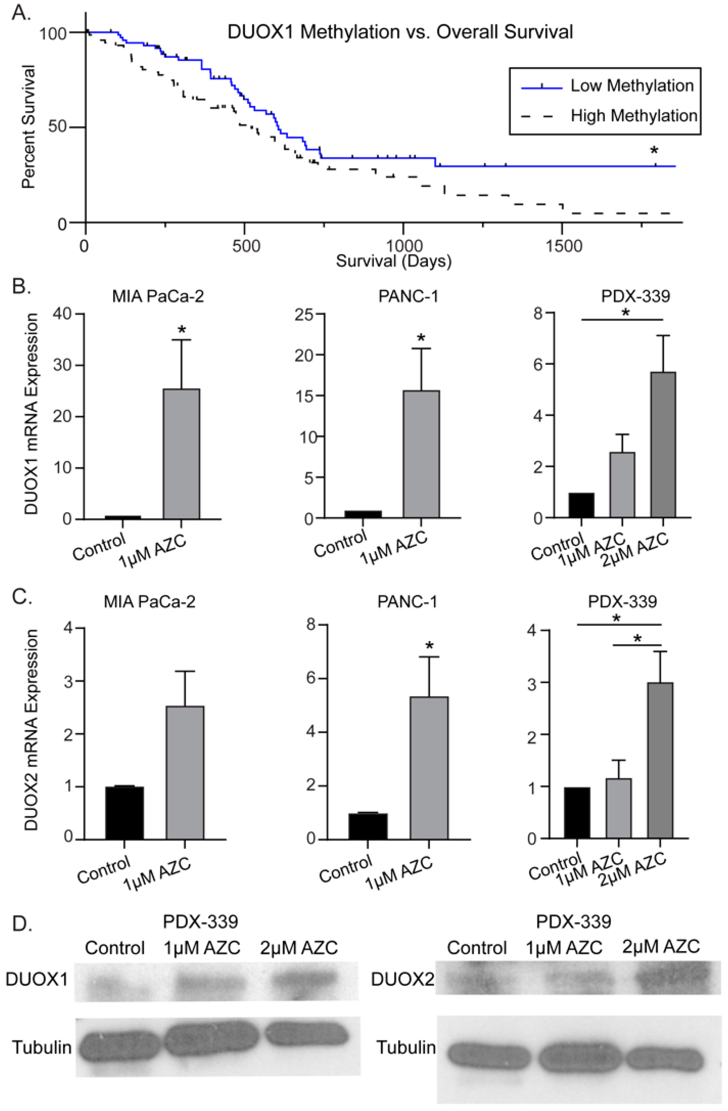 Preprints 79737 g001