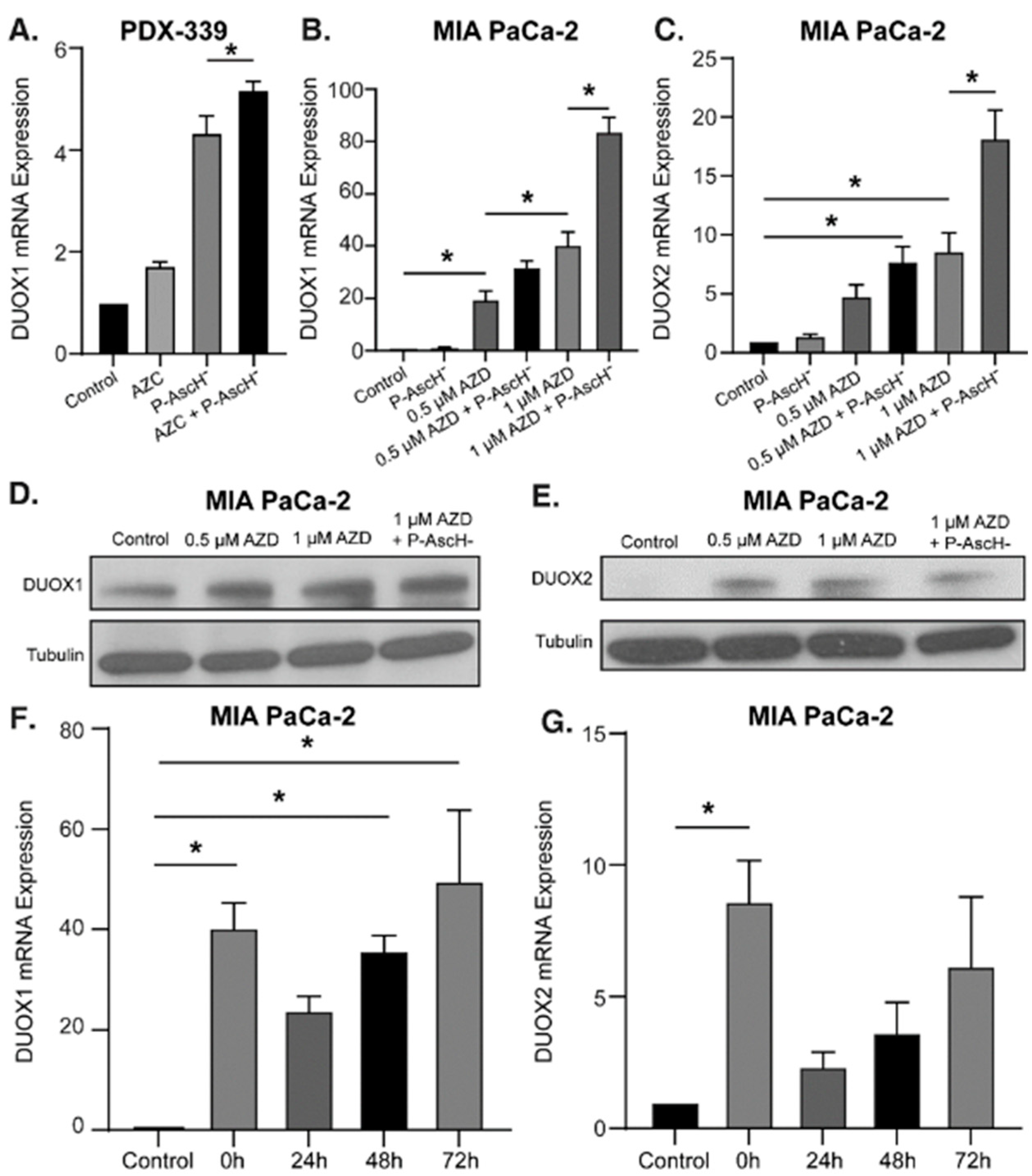 Preprints 79737 g002