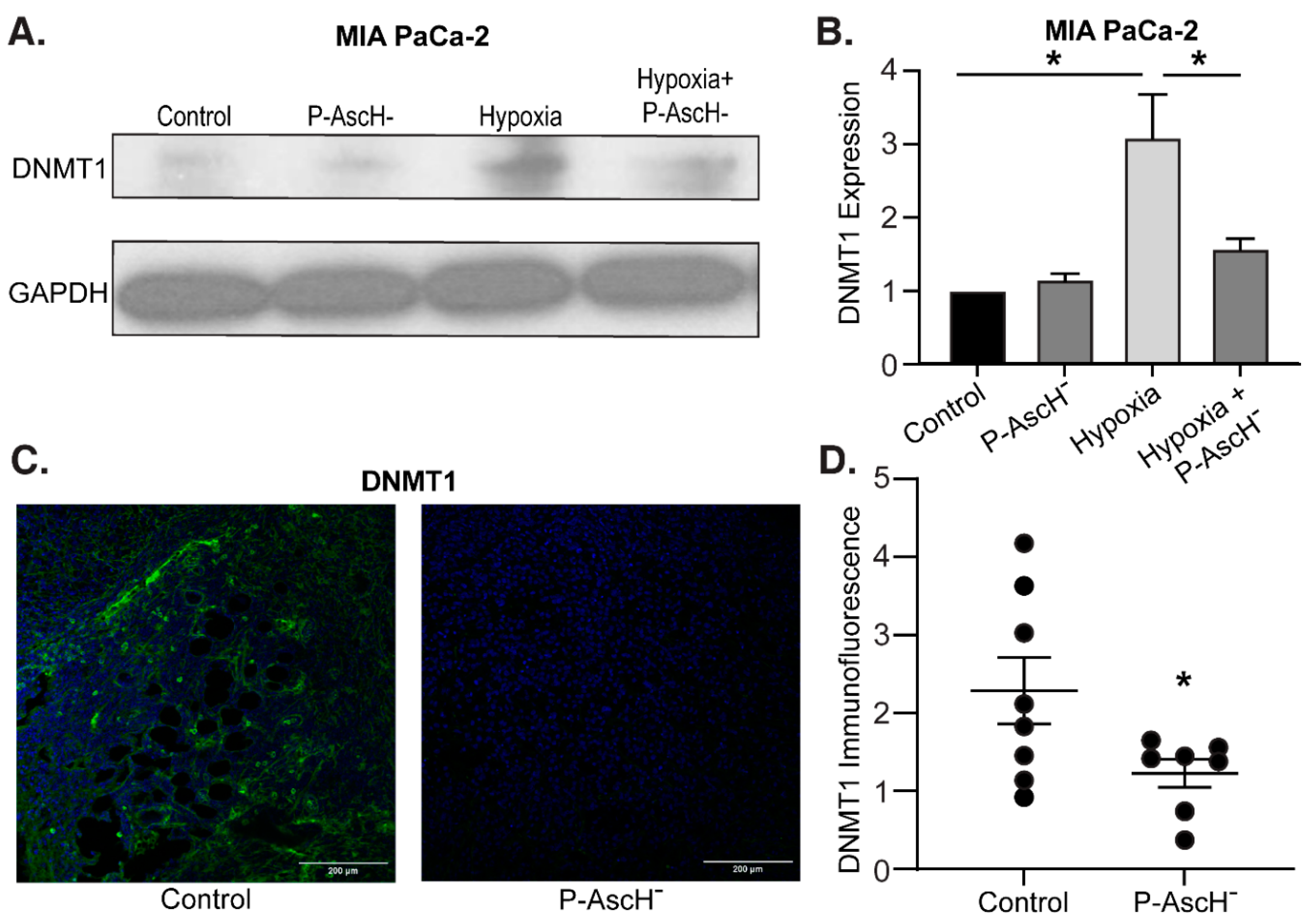 Preprints 79737 g004