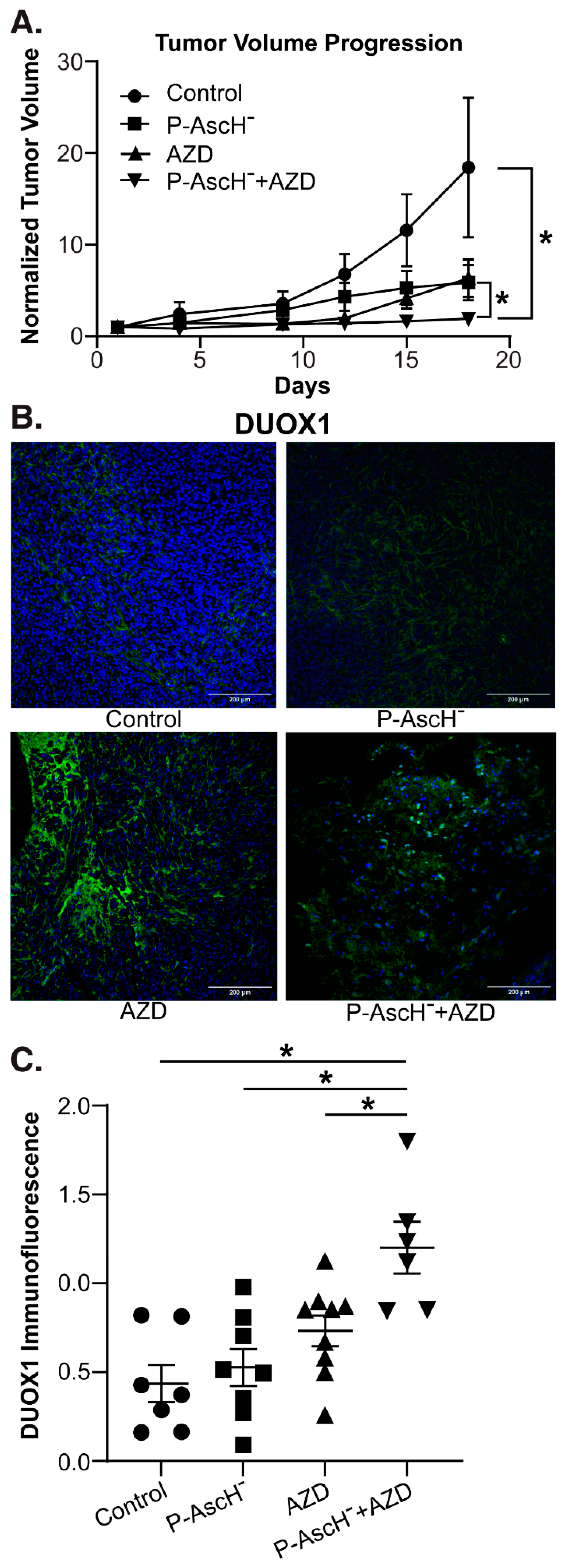 Preprints 79737 g005