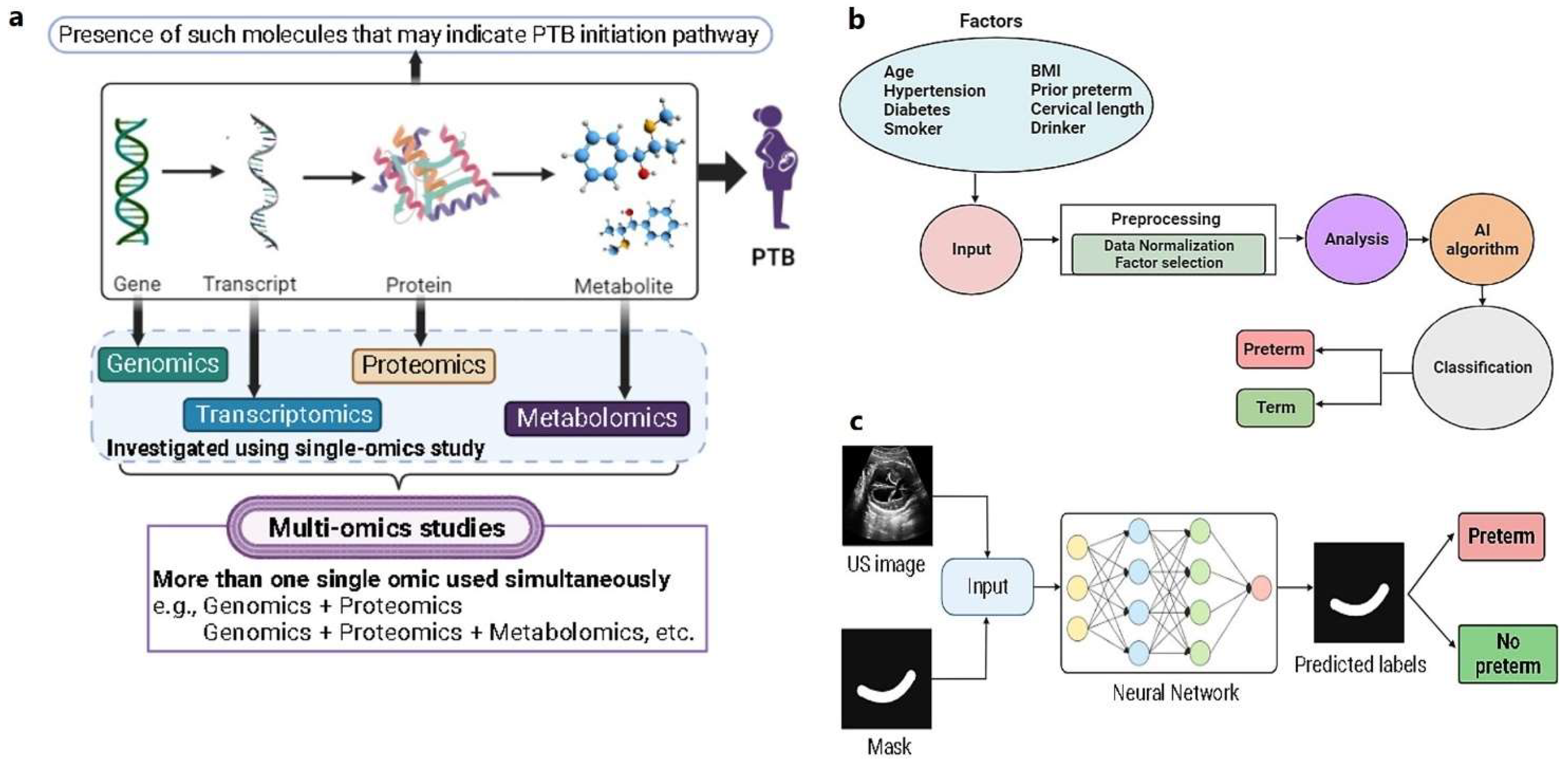 Preprints 95019 g002