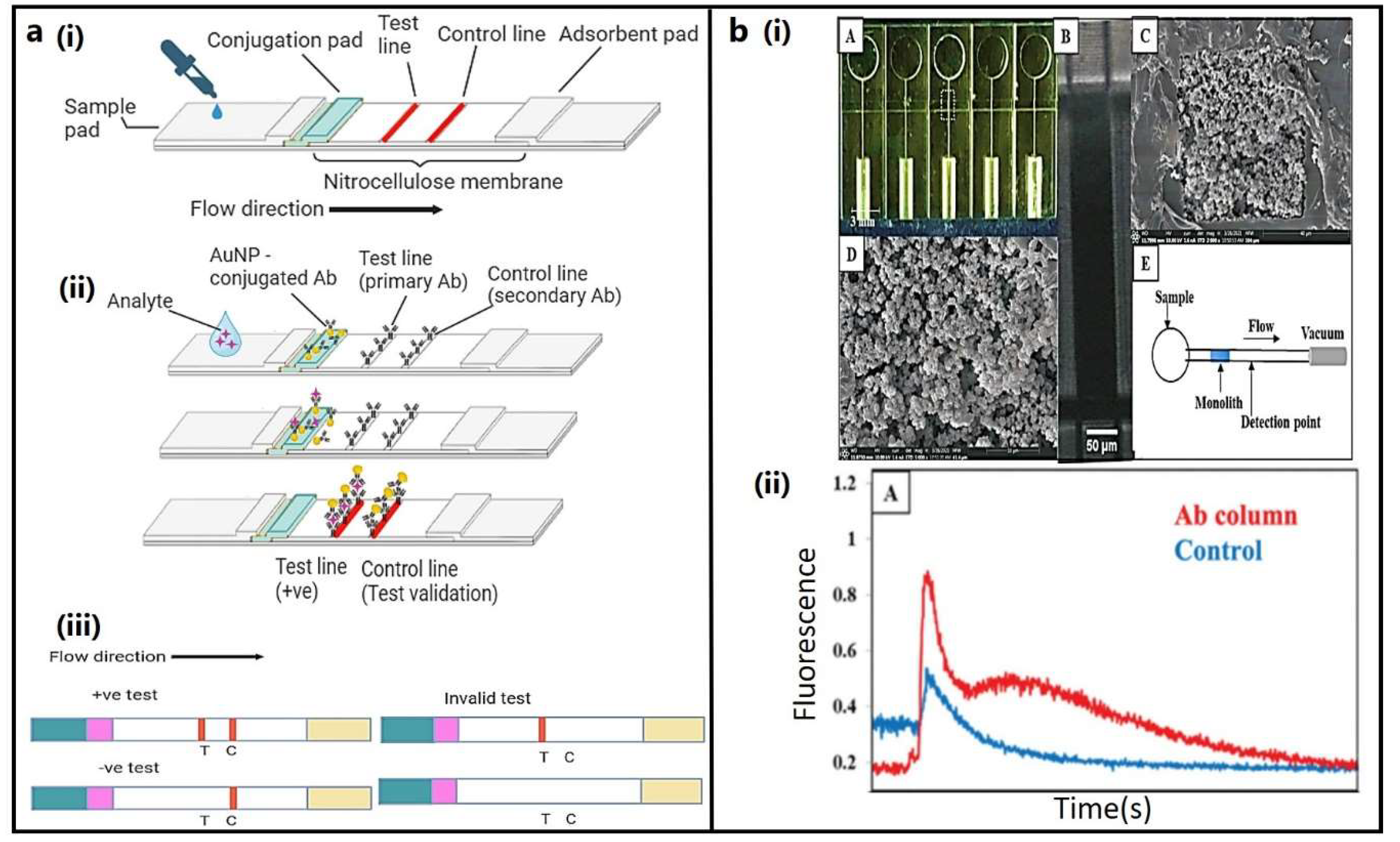 Preprints 95019 g003