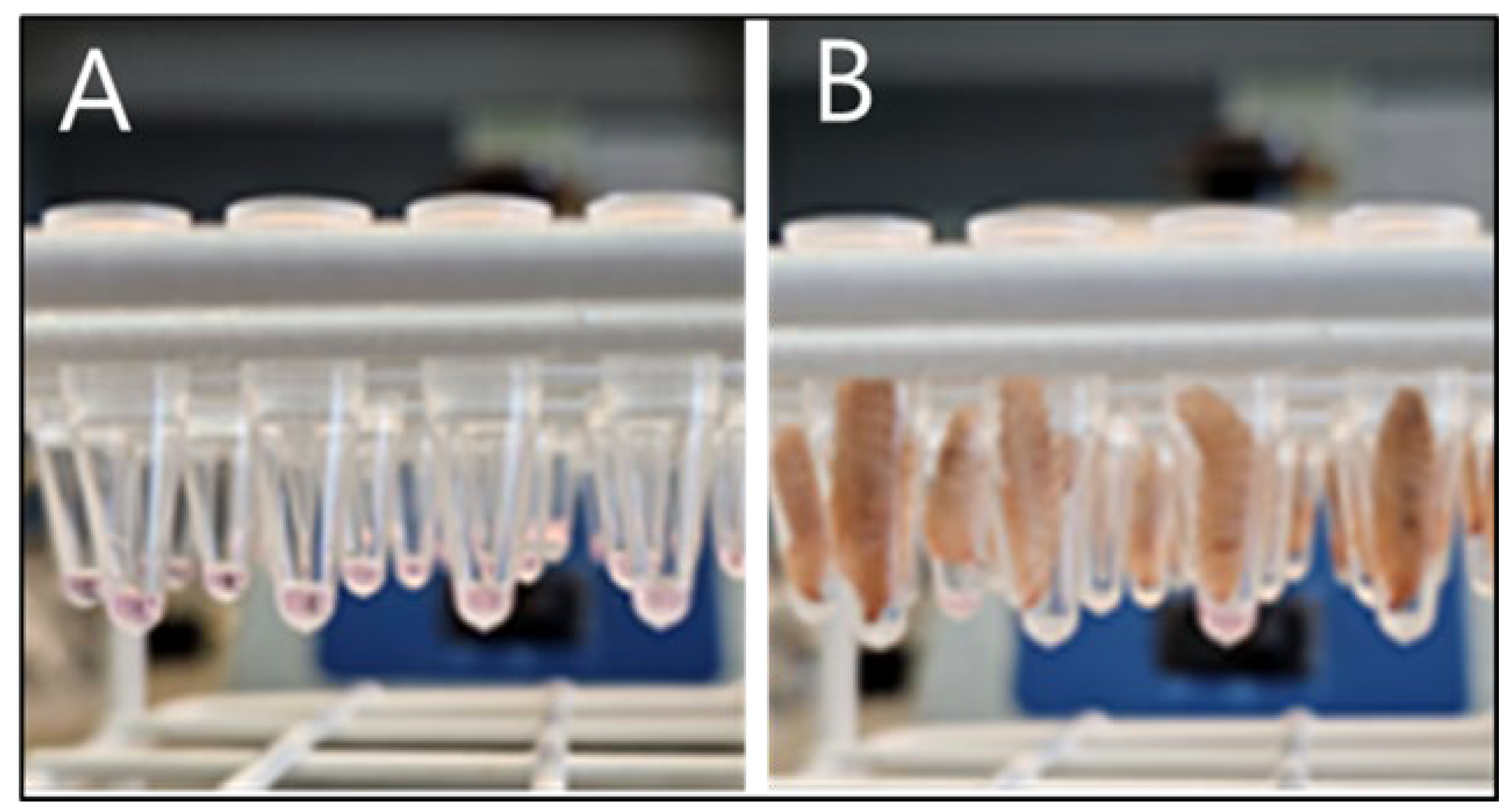 Preprints 138146 g001