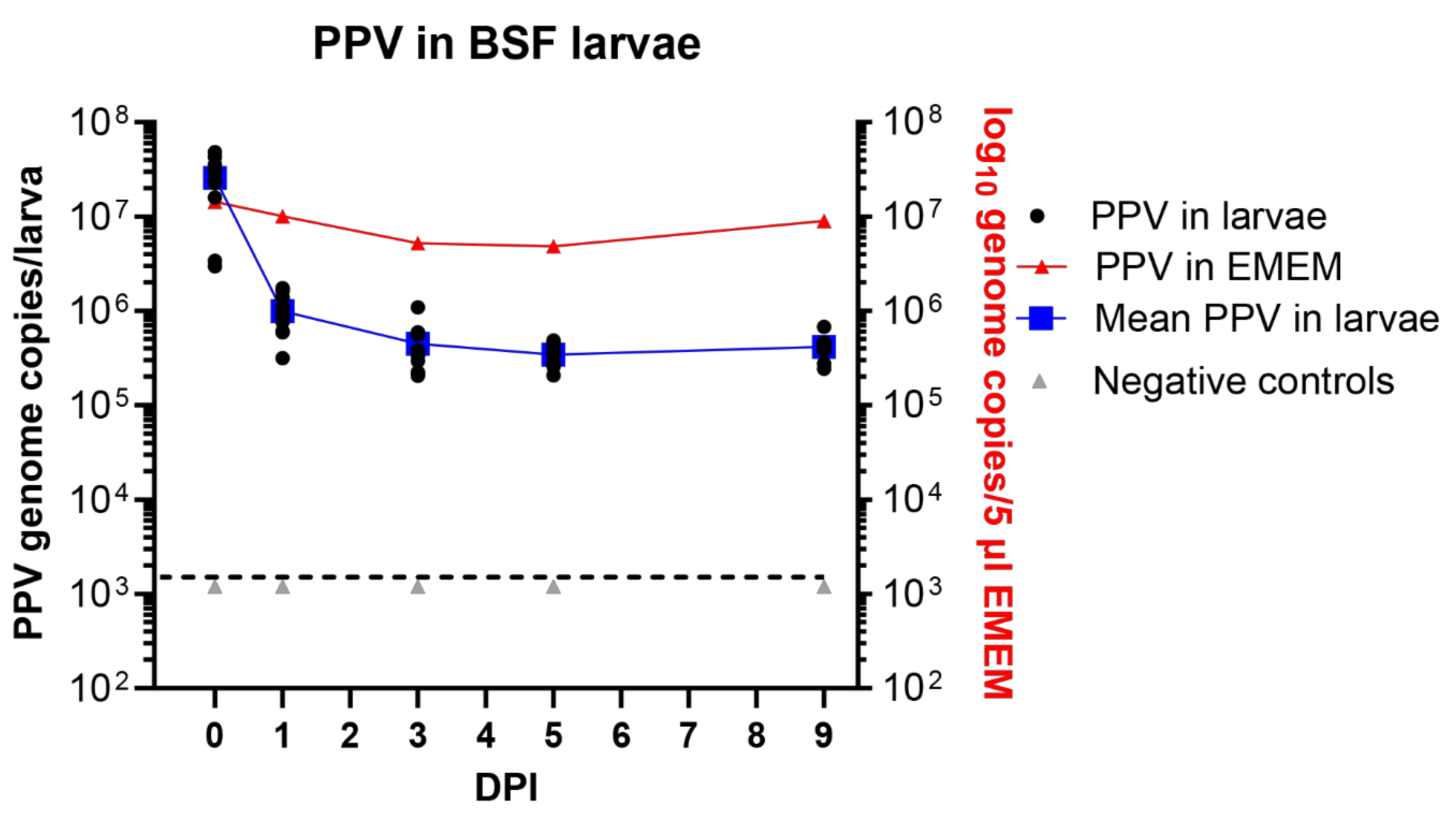 Preprints 138146 g004