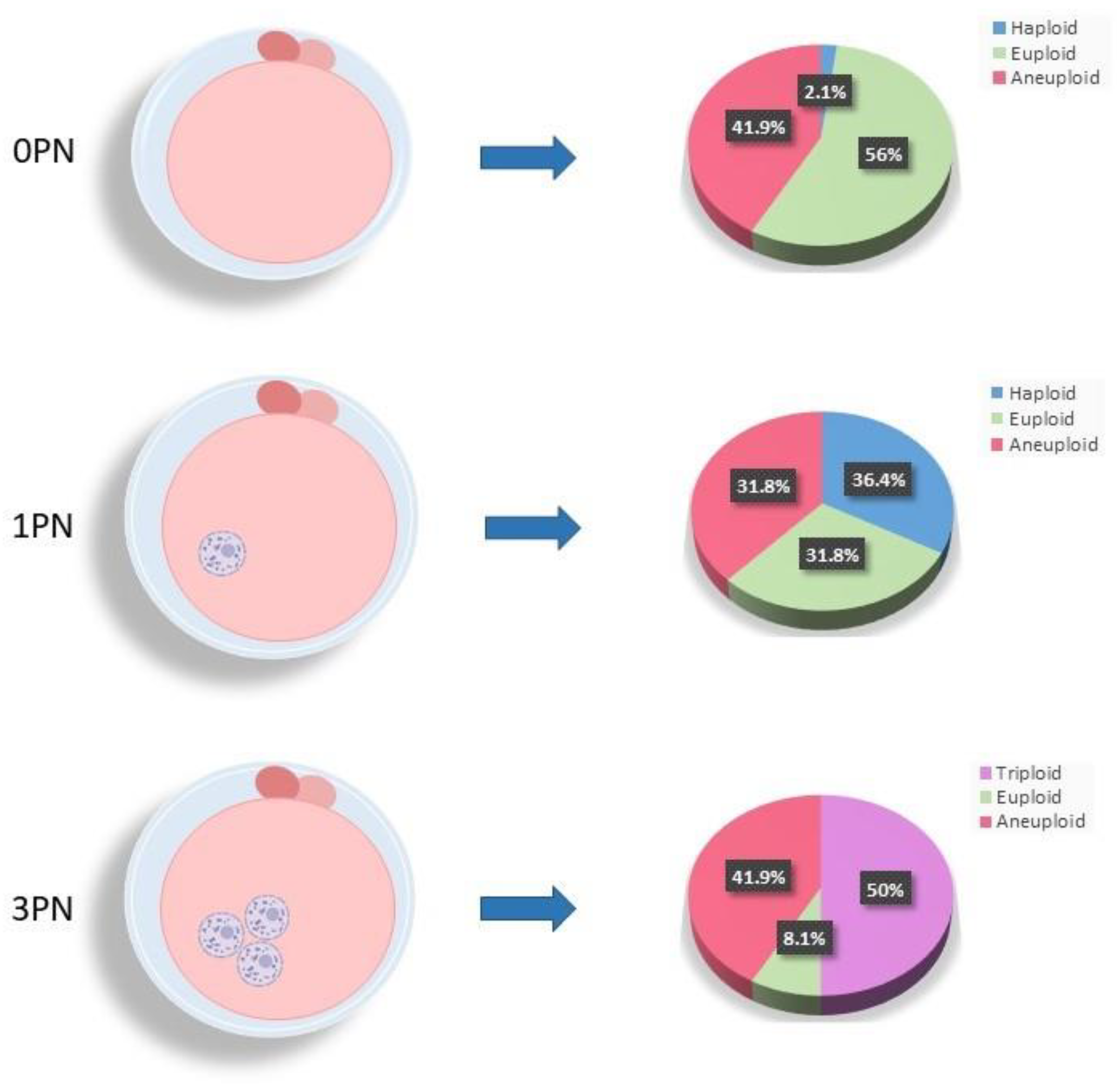 Preprints 138198 g004