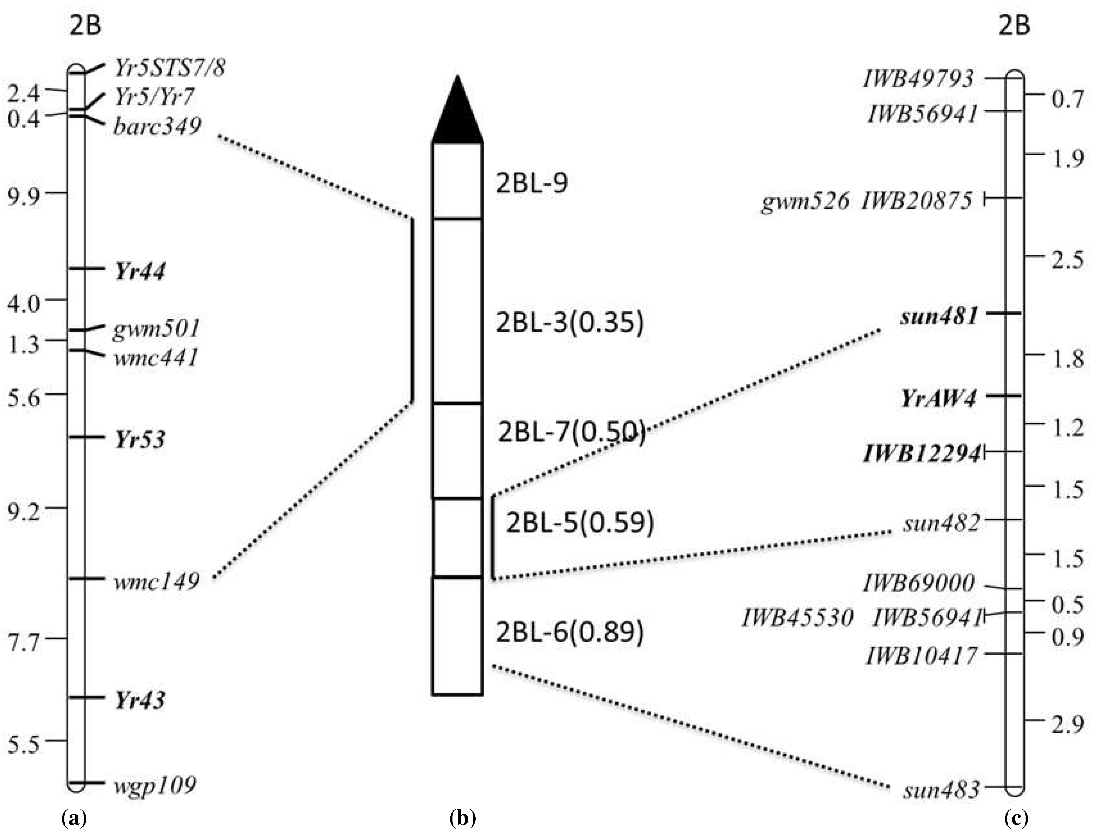 Preprints 86991 g002