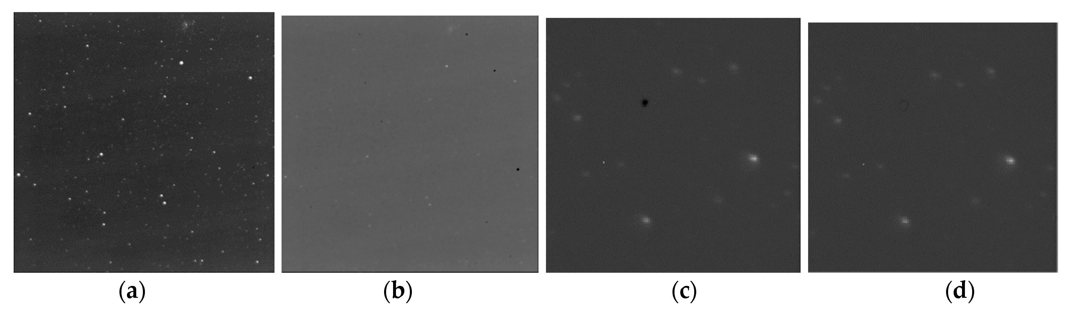 Preprints 74045 g002