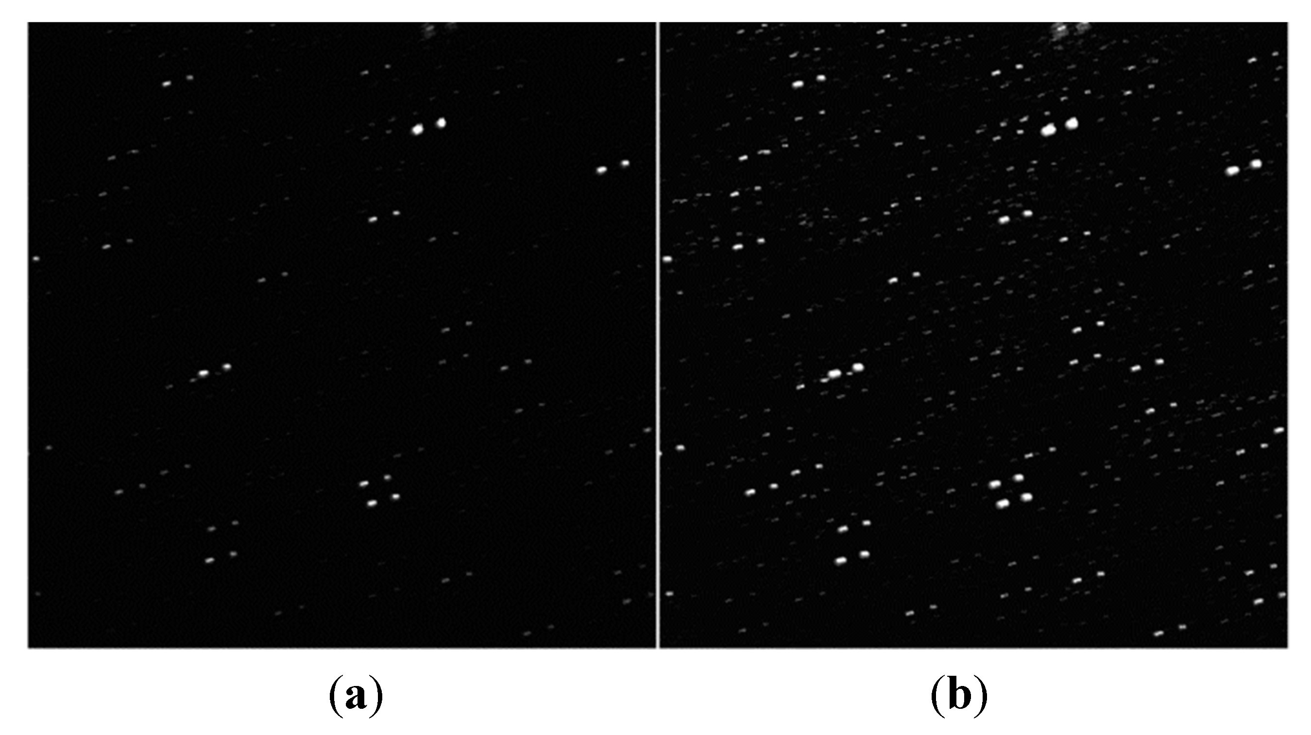 Preprints 74045 g008