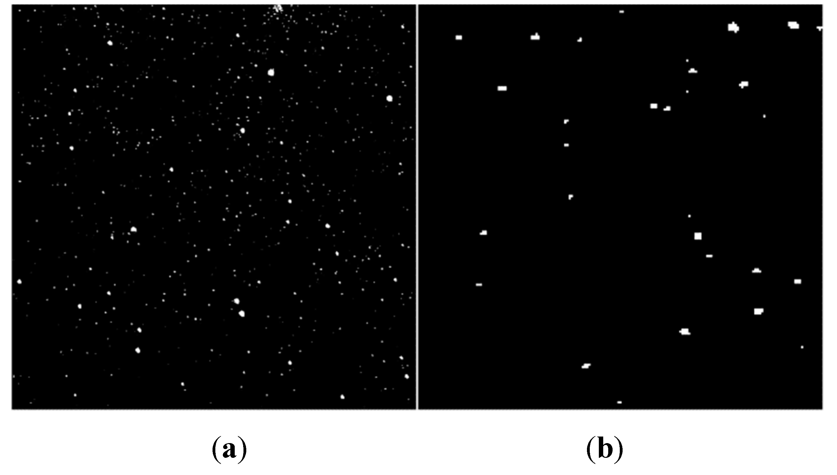 Preprints 74045 g015