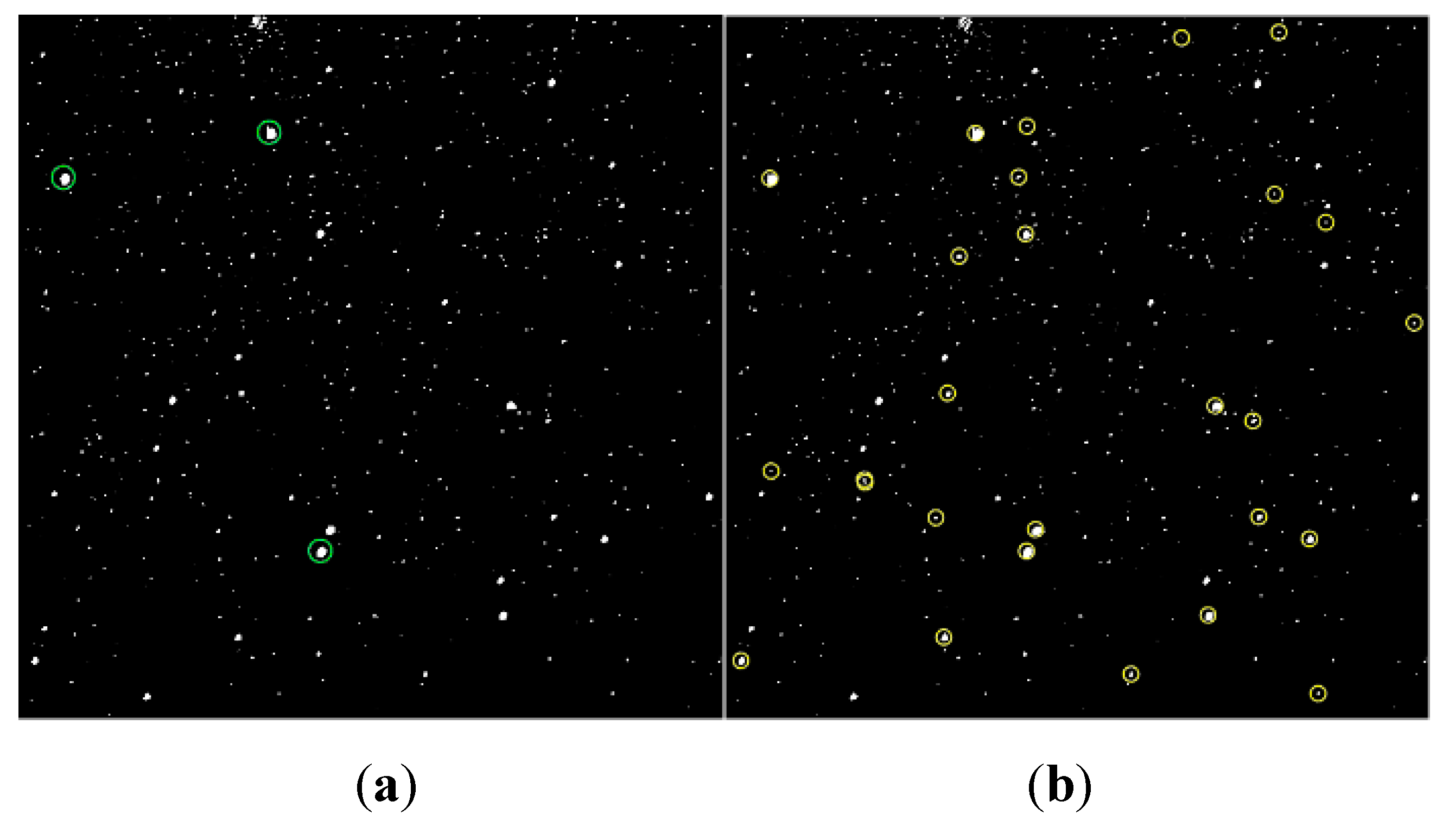 Preprints 74045 g016