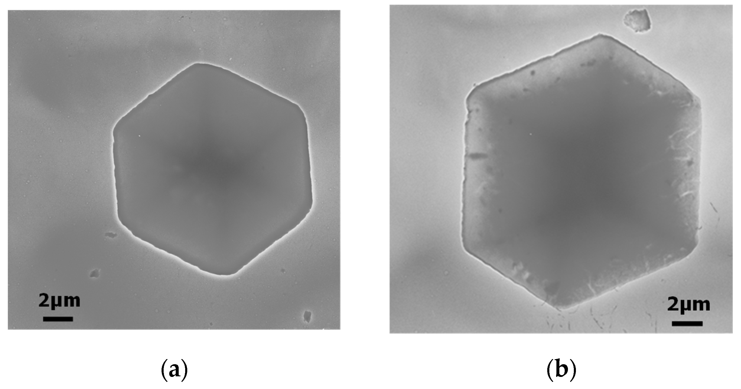 Preprints 89509 g005