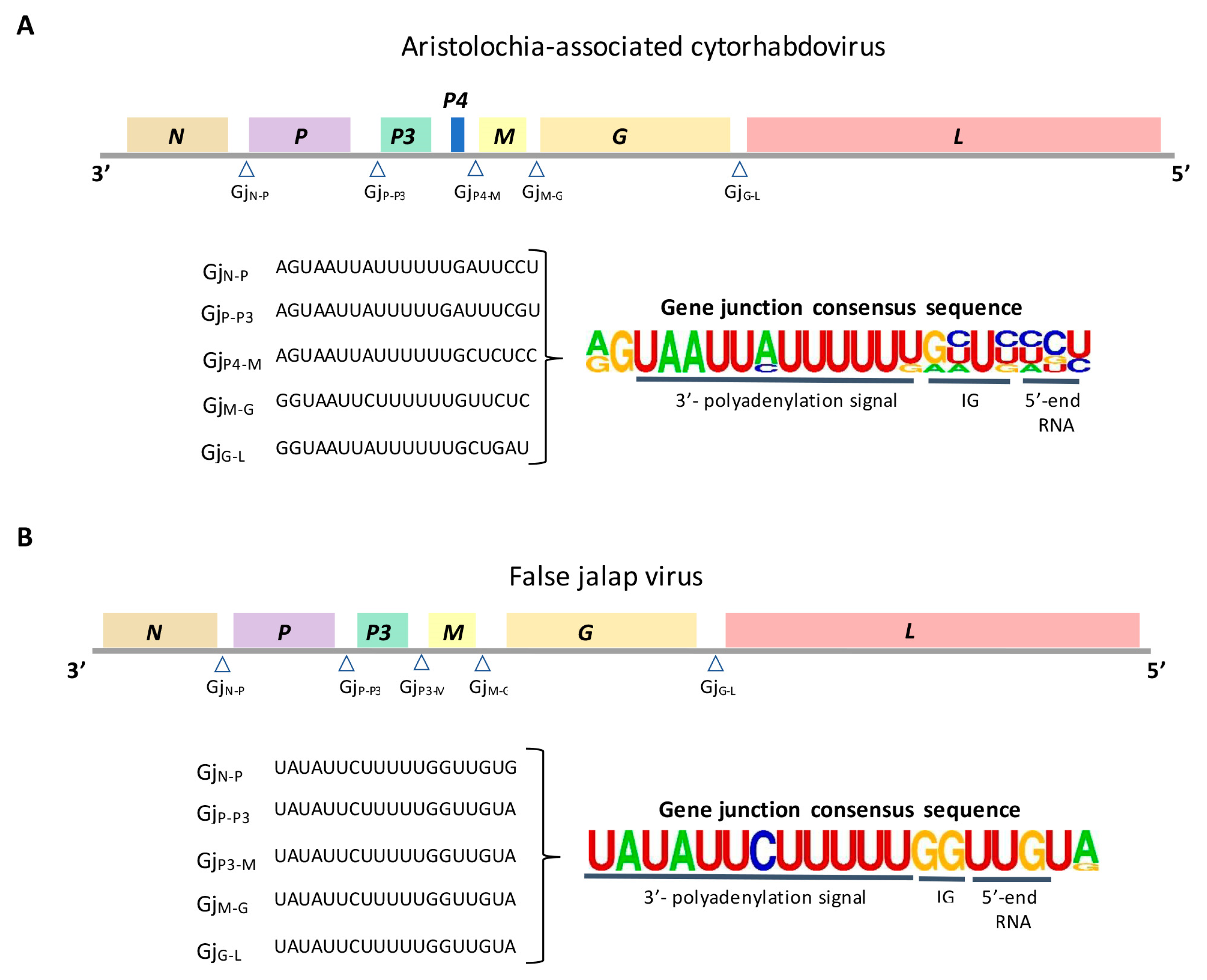 Preprints 96857 g003