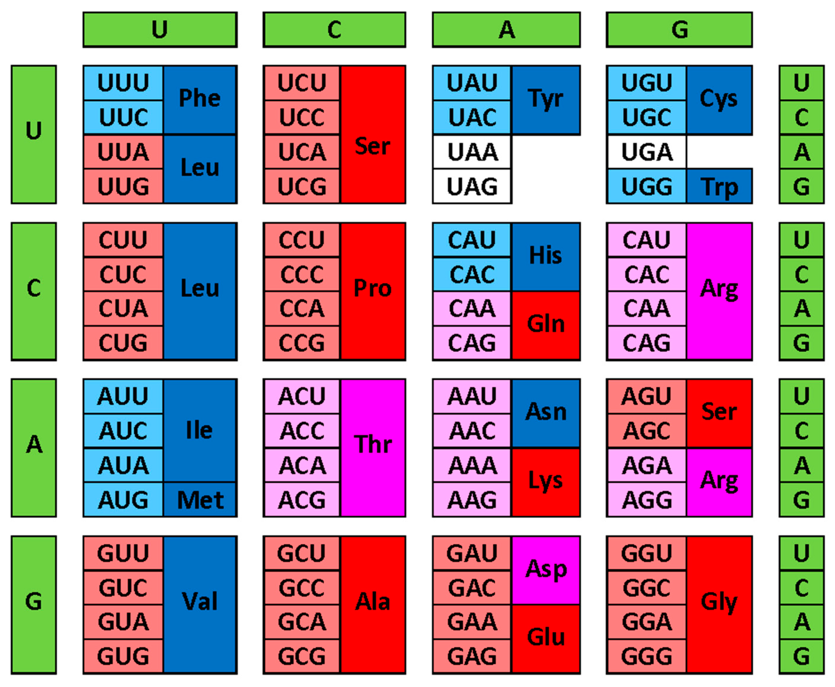 Preprints 119644 g002