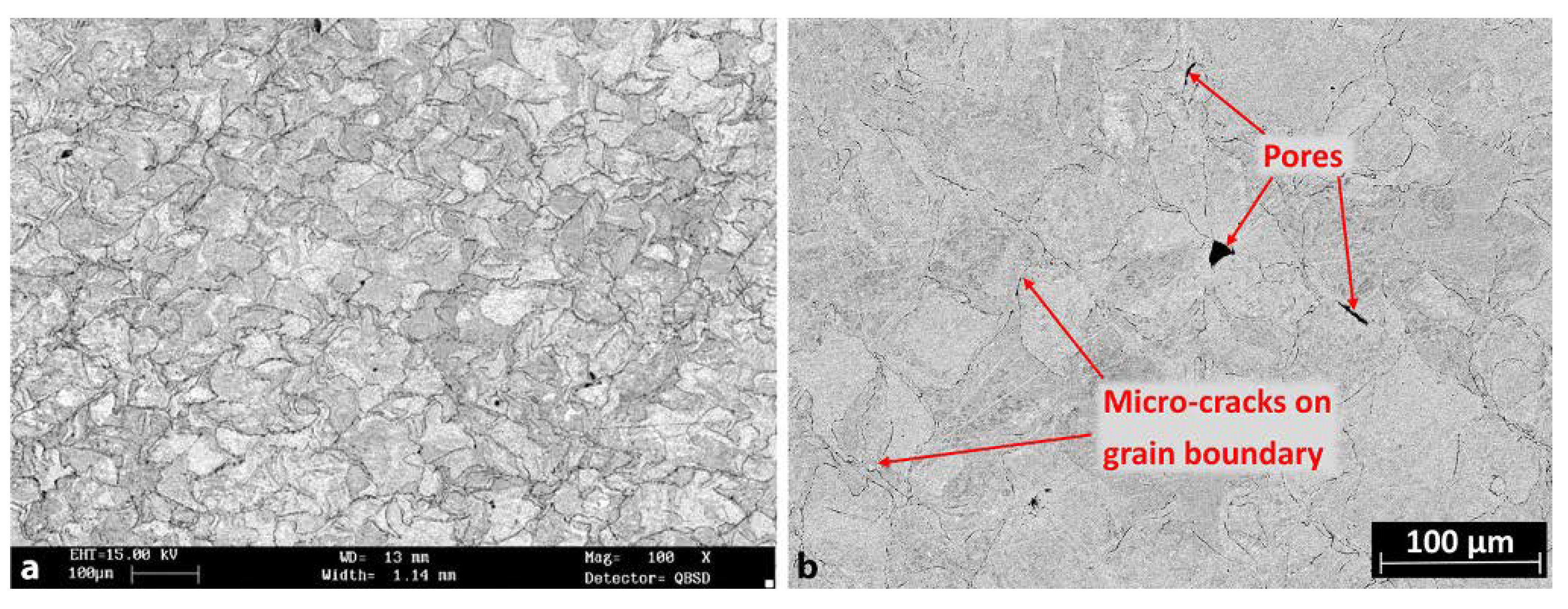 Preprints 109427 g010